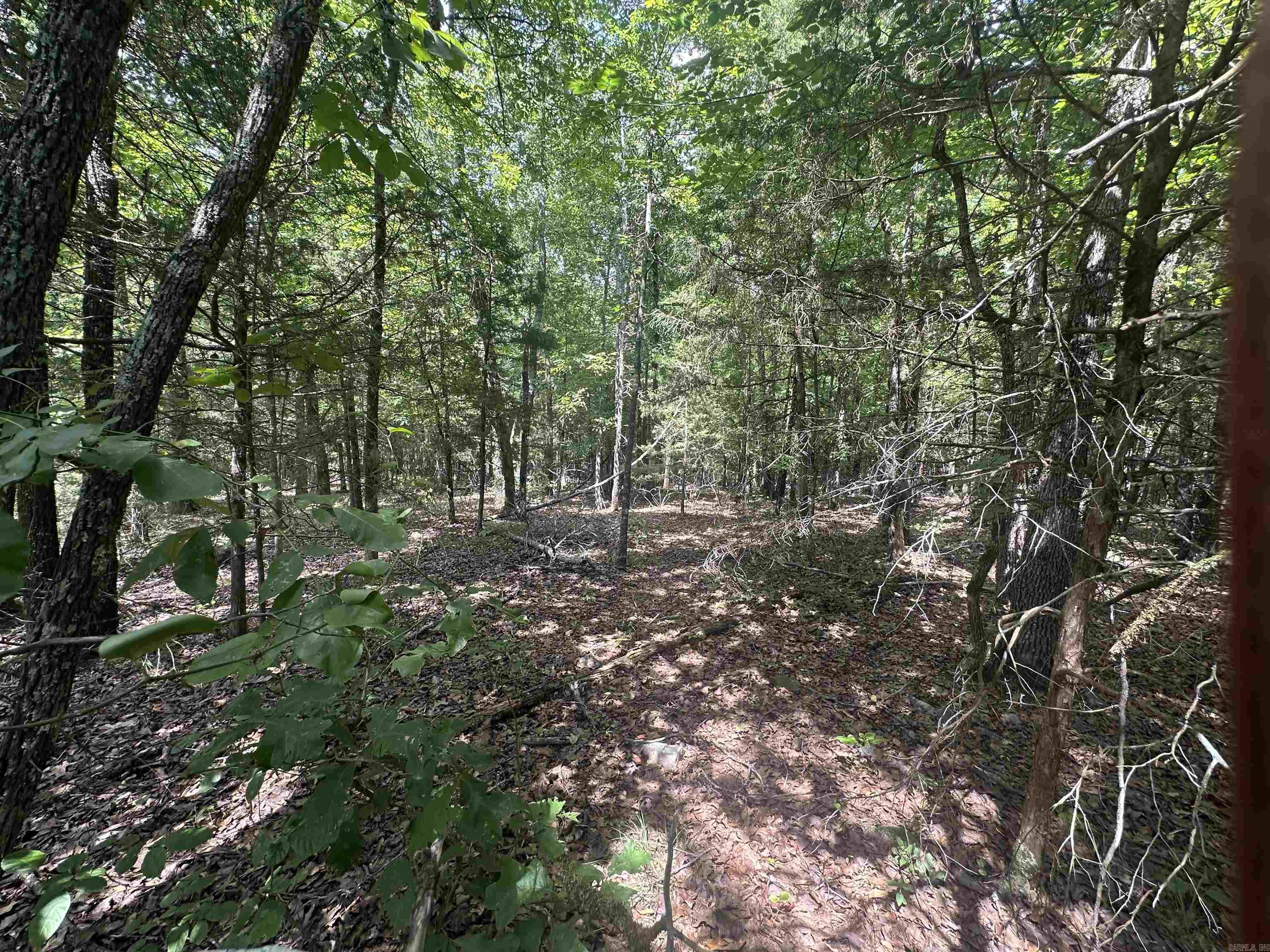 Tract 6 Golden Meadows  Cabot, AR