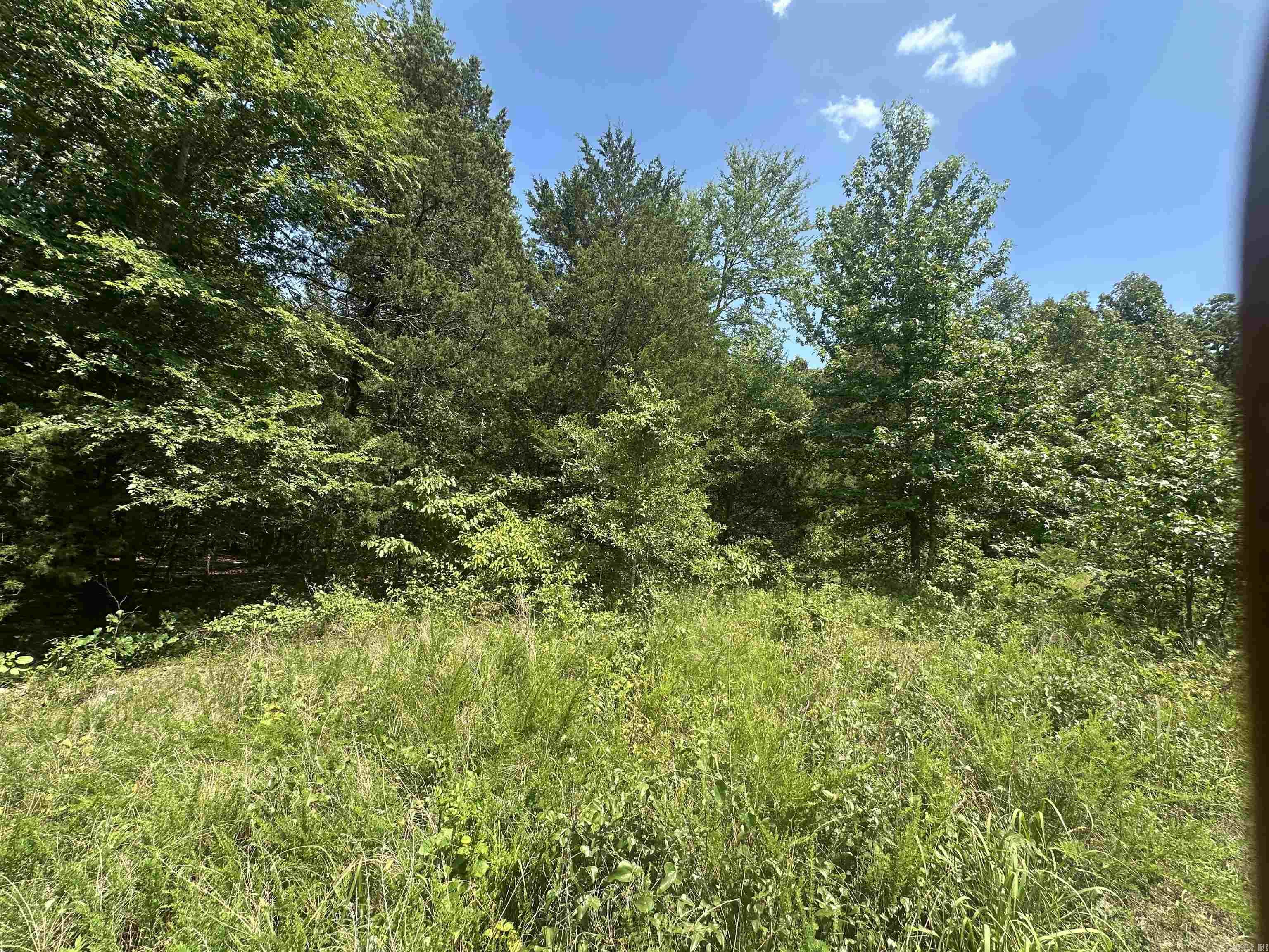 Tract 6 Golden Meadows  Cabot, AR