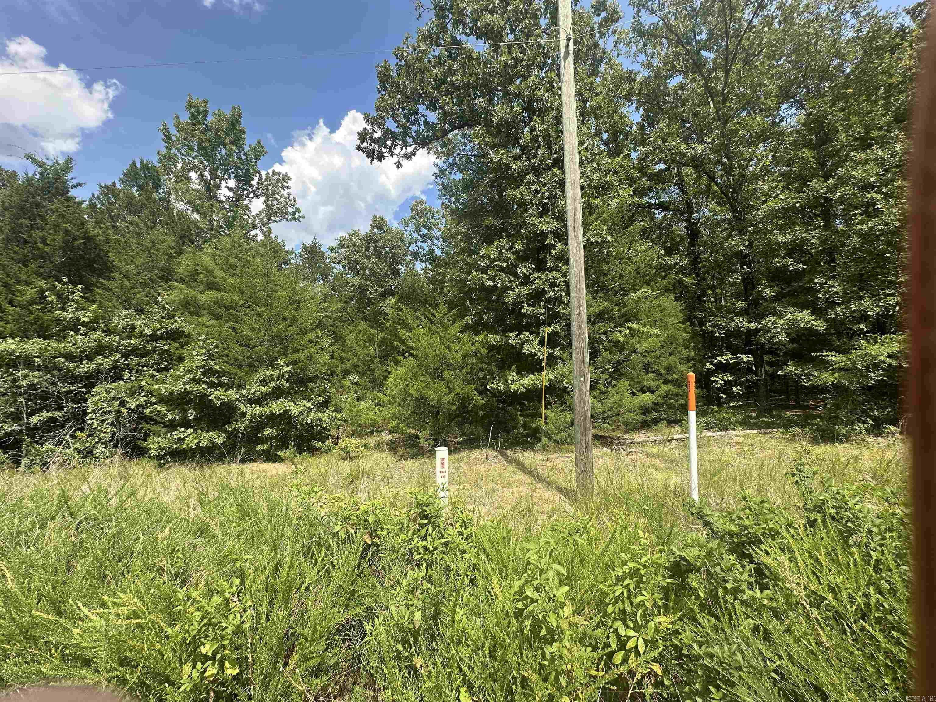 Tract 6 Golden Meadows  Cabot, AR