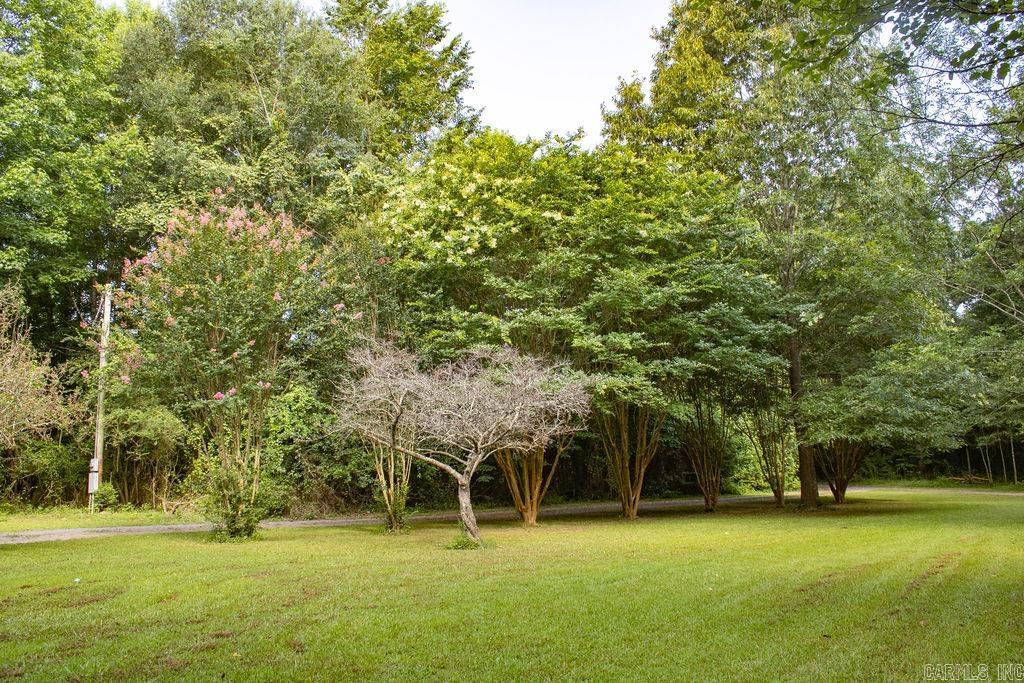 156 Polk Road 38  Hatfield, AR
