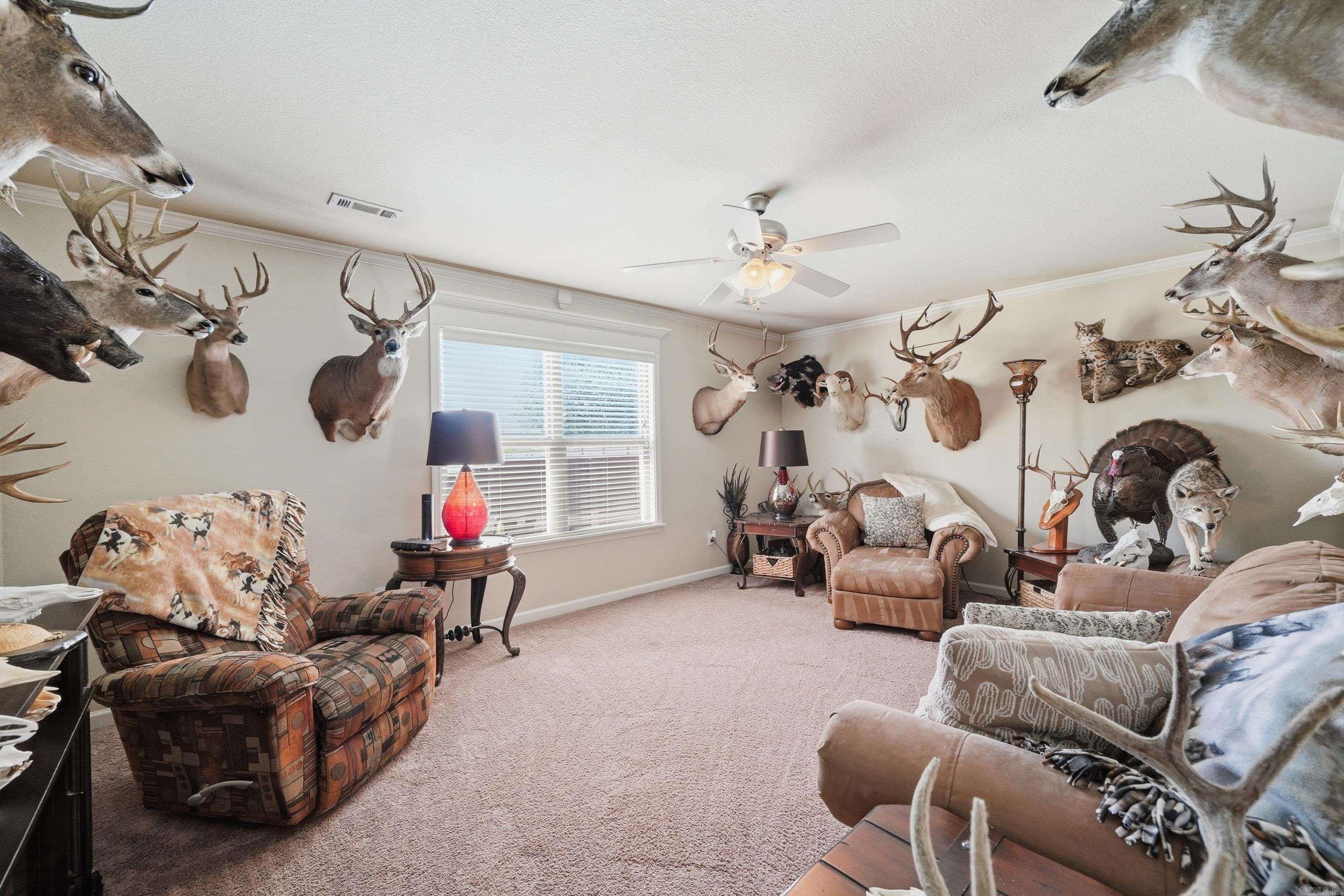 13113 Secretariat  Scott, AR