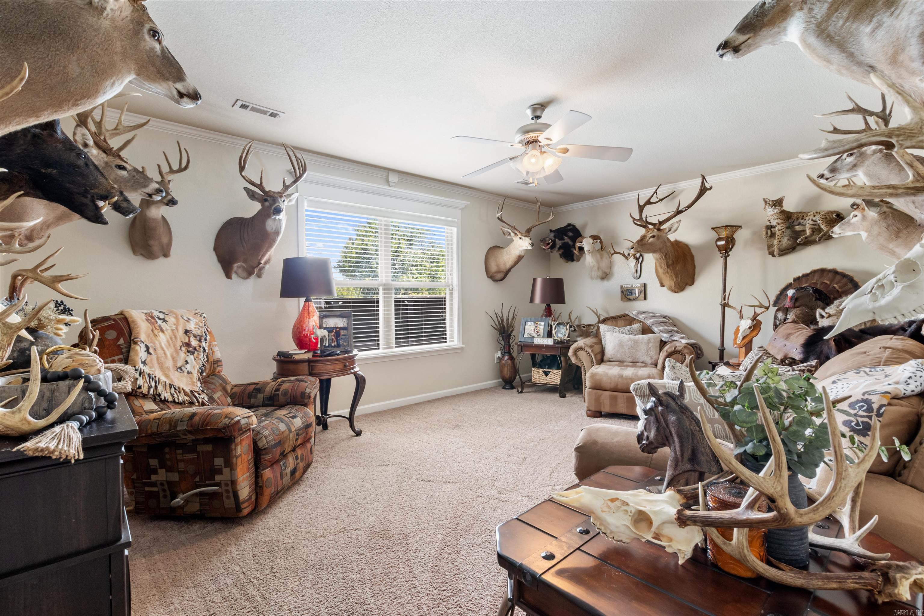 13113 Secretariat  Scott, AR