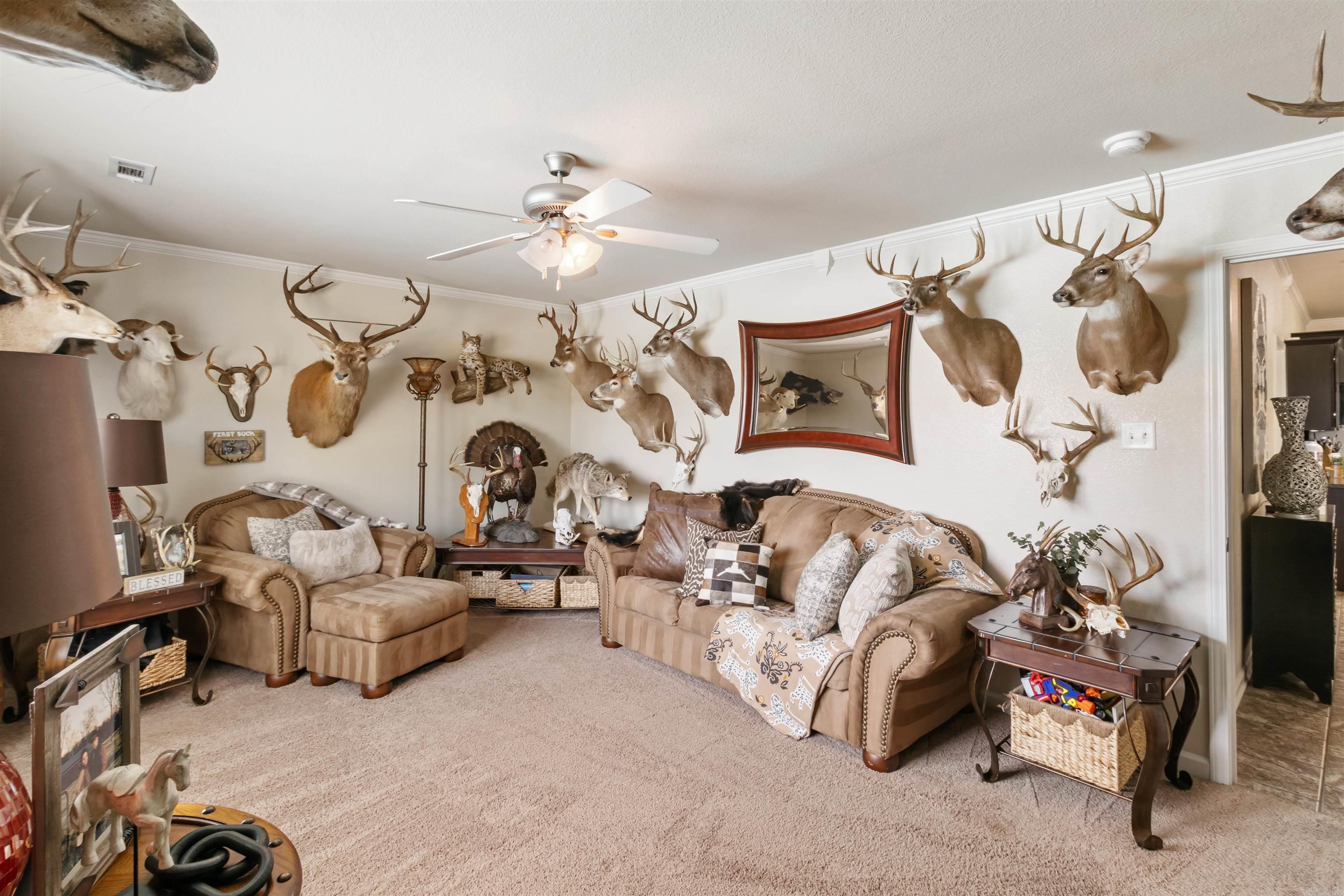 13113 Secretariat  Scott, AR