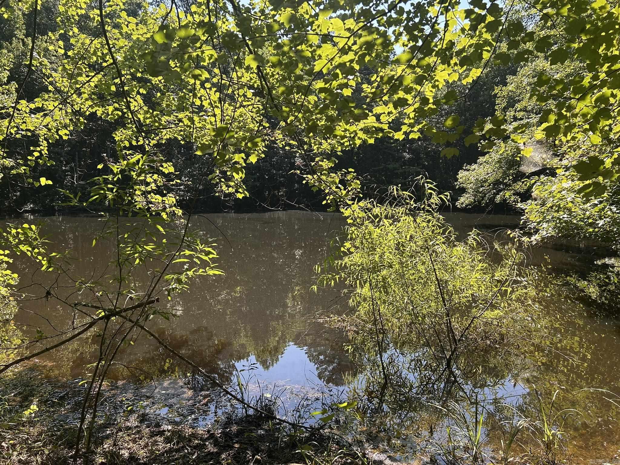 Unk Polk Road 164  Mena, AR