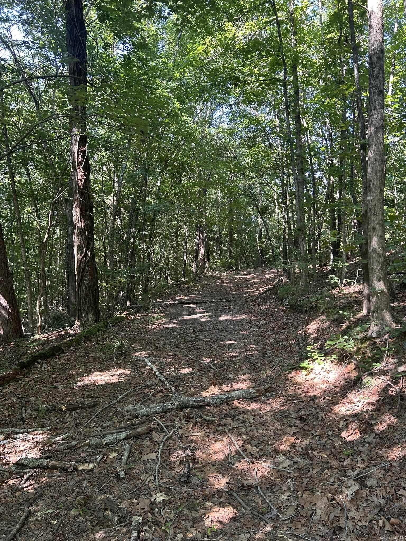 Unk Polk Road 164  Mena, AR