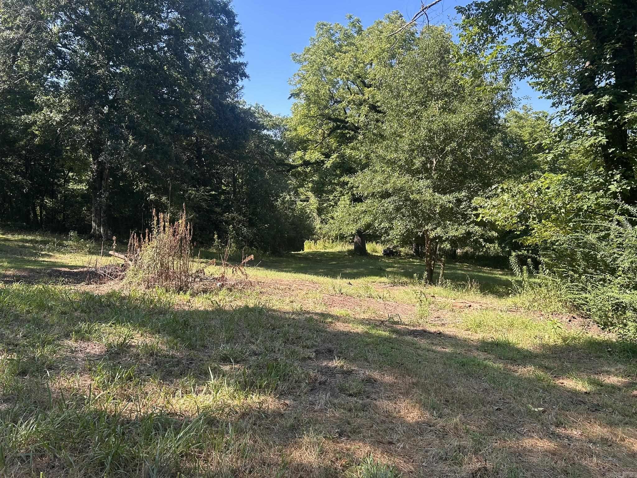 Unk Polk Road 164  Mena, AR