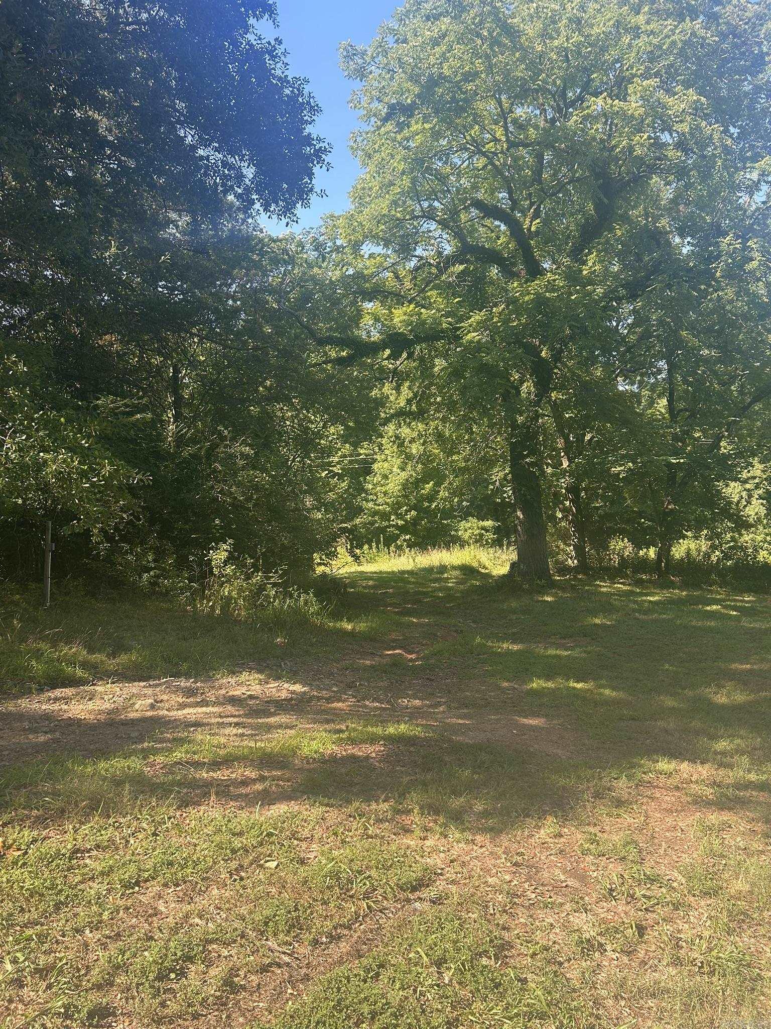 Unk Polk Road 164  Mena, AR