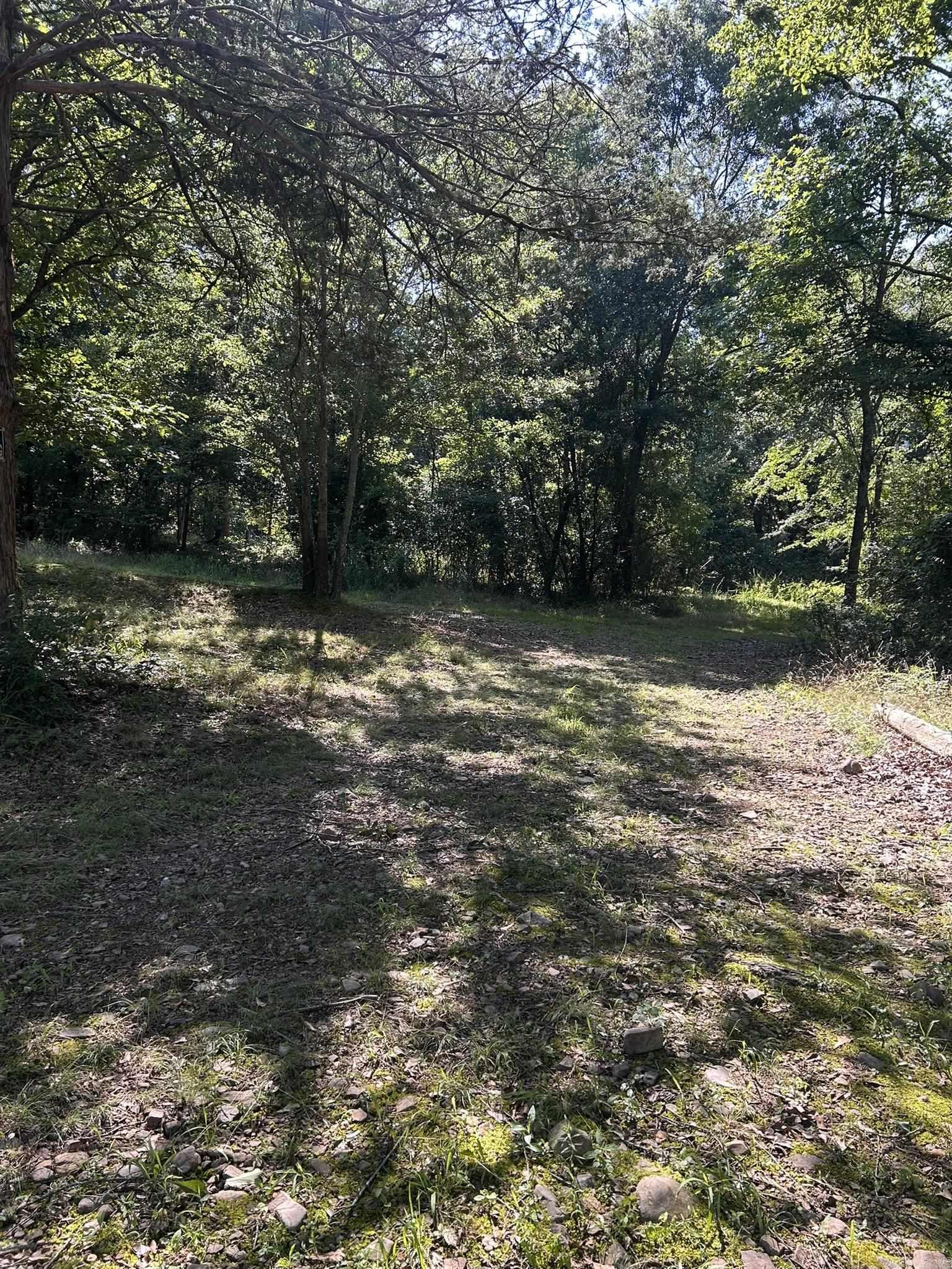 Unk Polk Road 164  Mena, AR
