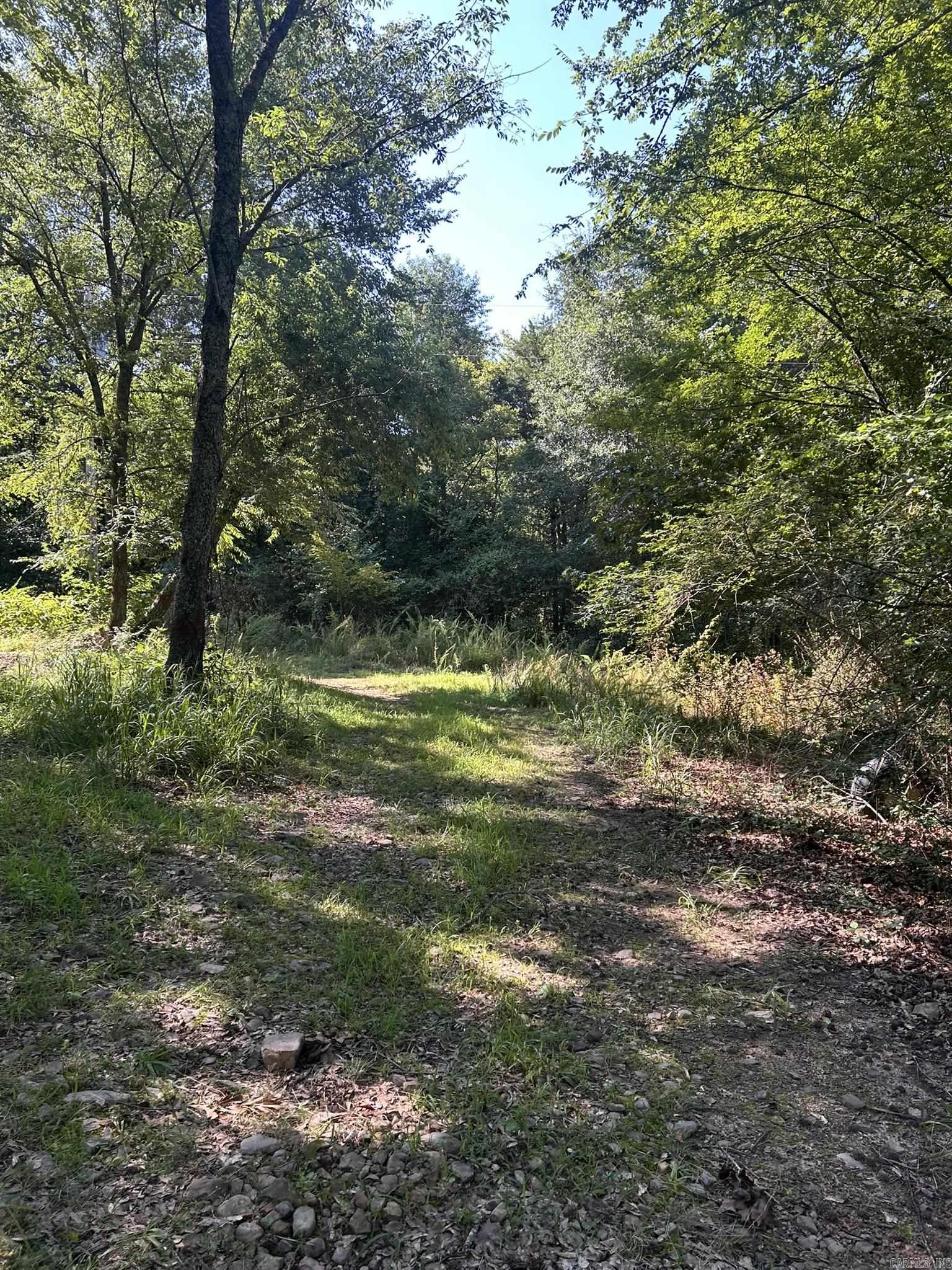 Unk Polk Road 164  Mena, AR