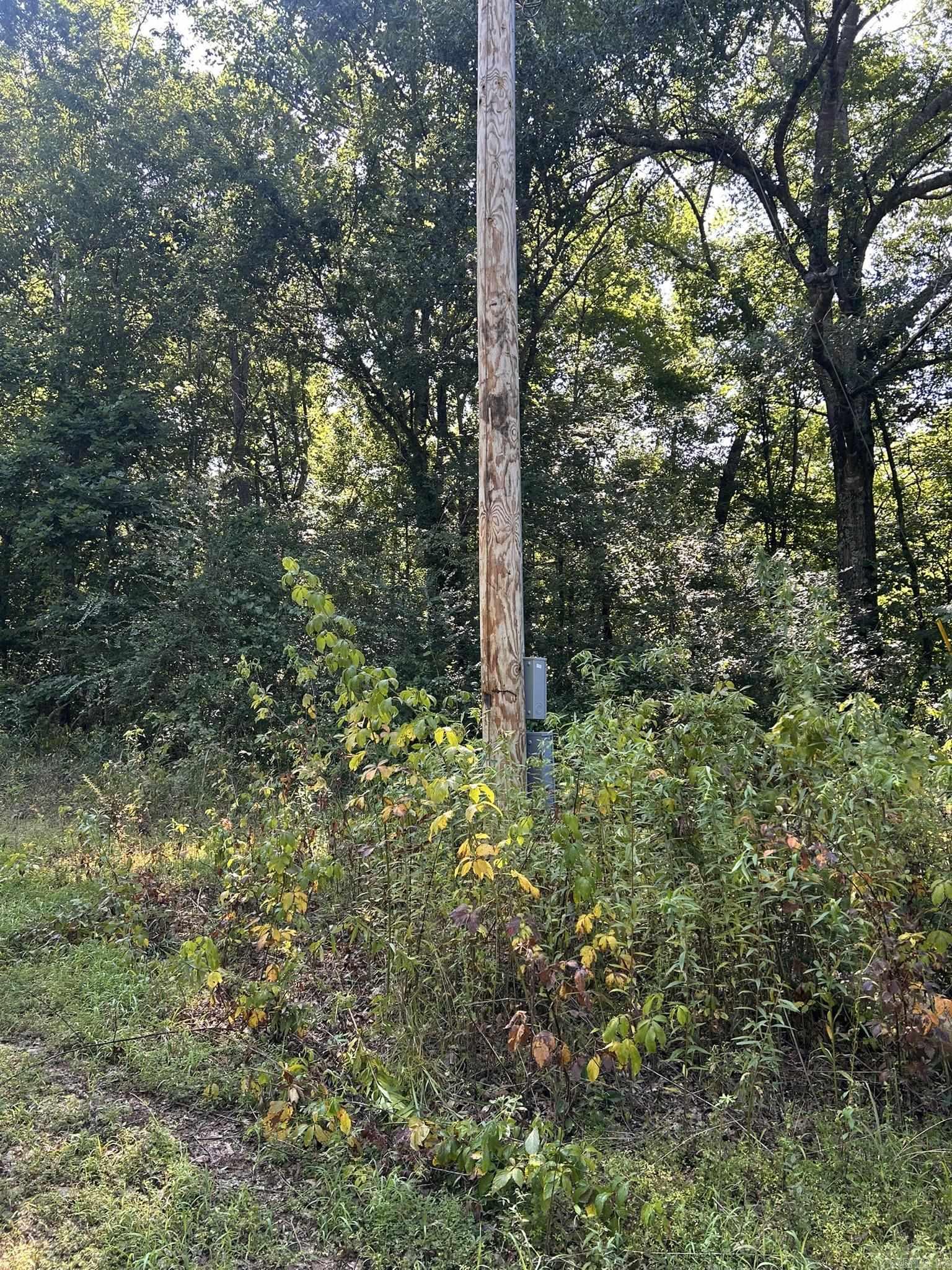 Unk Polk Road 164  Mena, AR