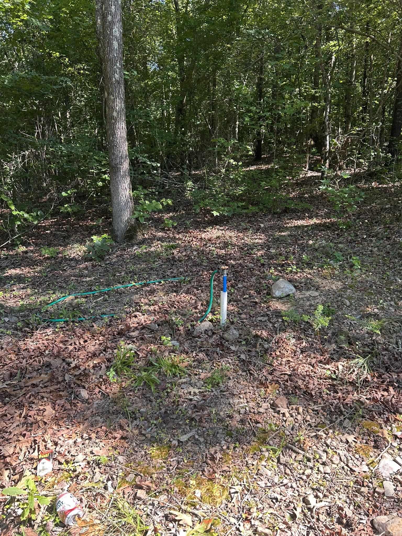 Unk Polk Road 164  Mena, AR