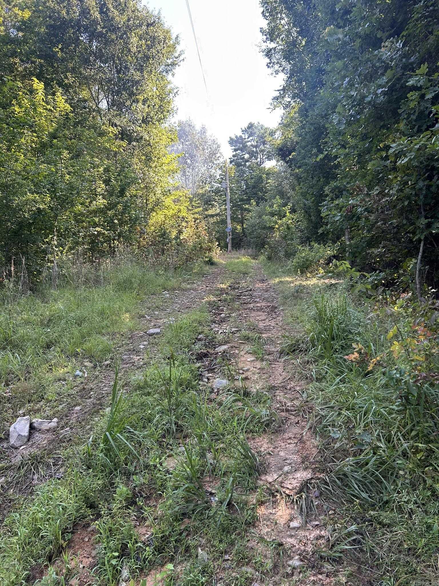 Unk Polk Road 164  Mena, AR