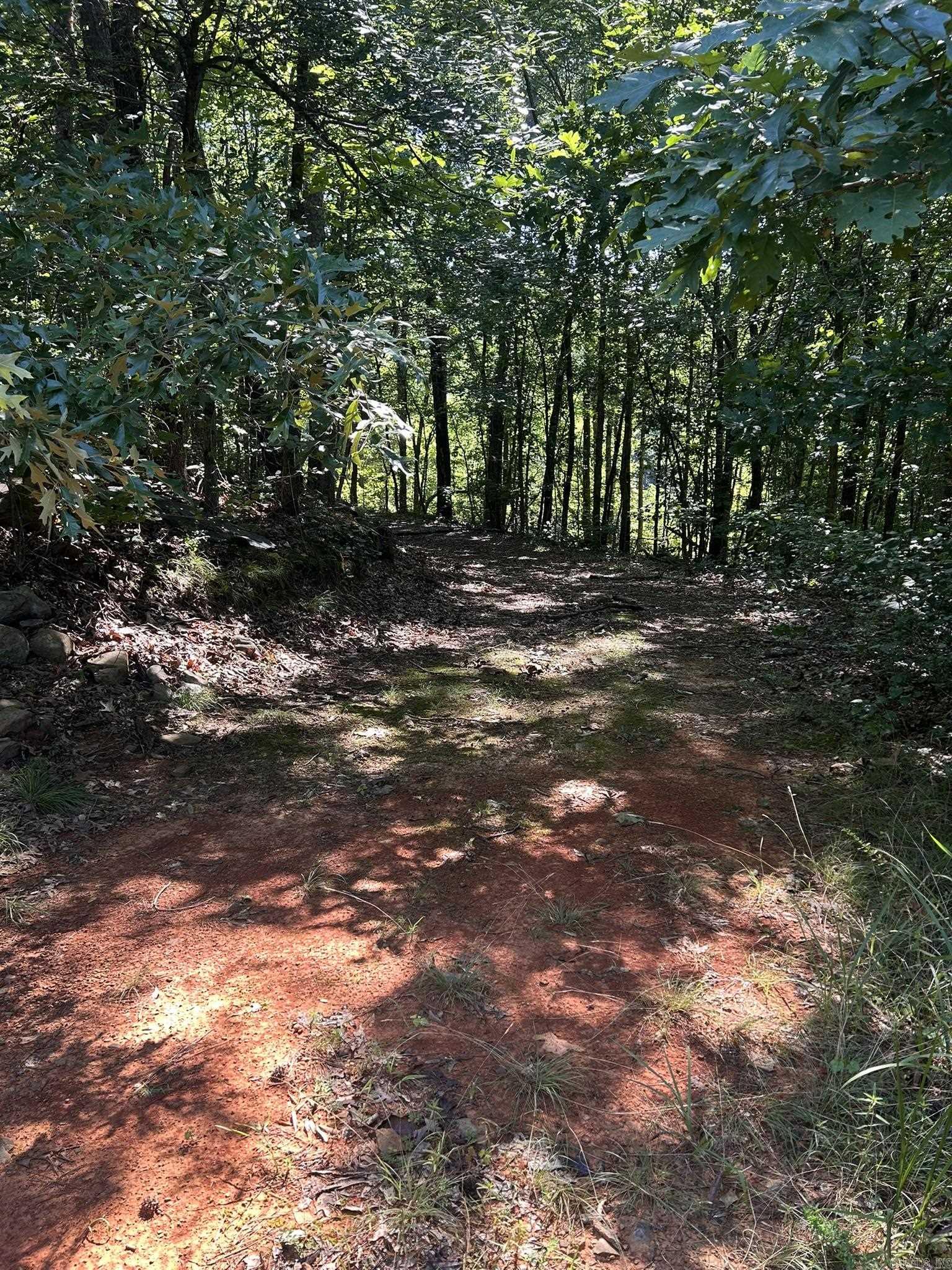 Unk Polk Road 164  Mena, AR