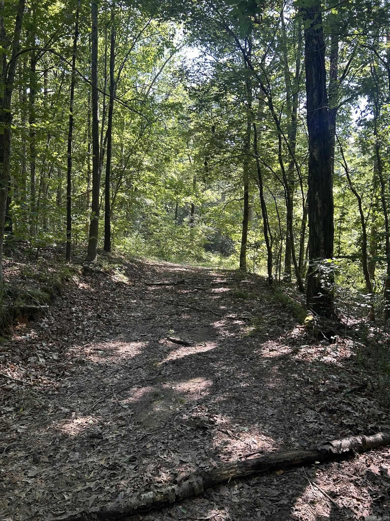 Unk Polk Road 164  Mena, AR