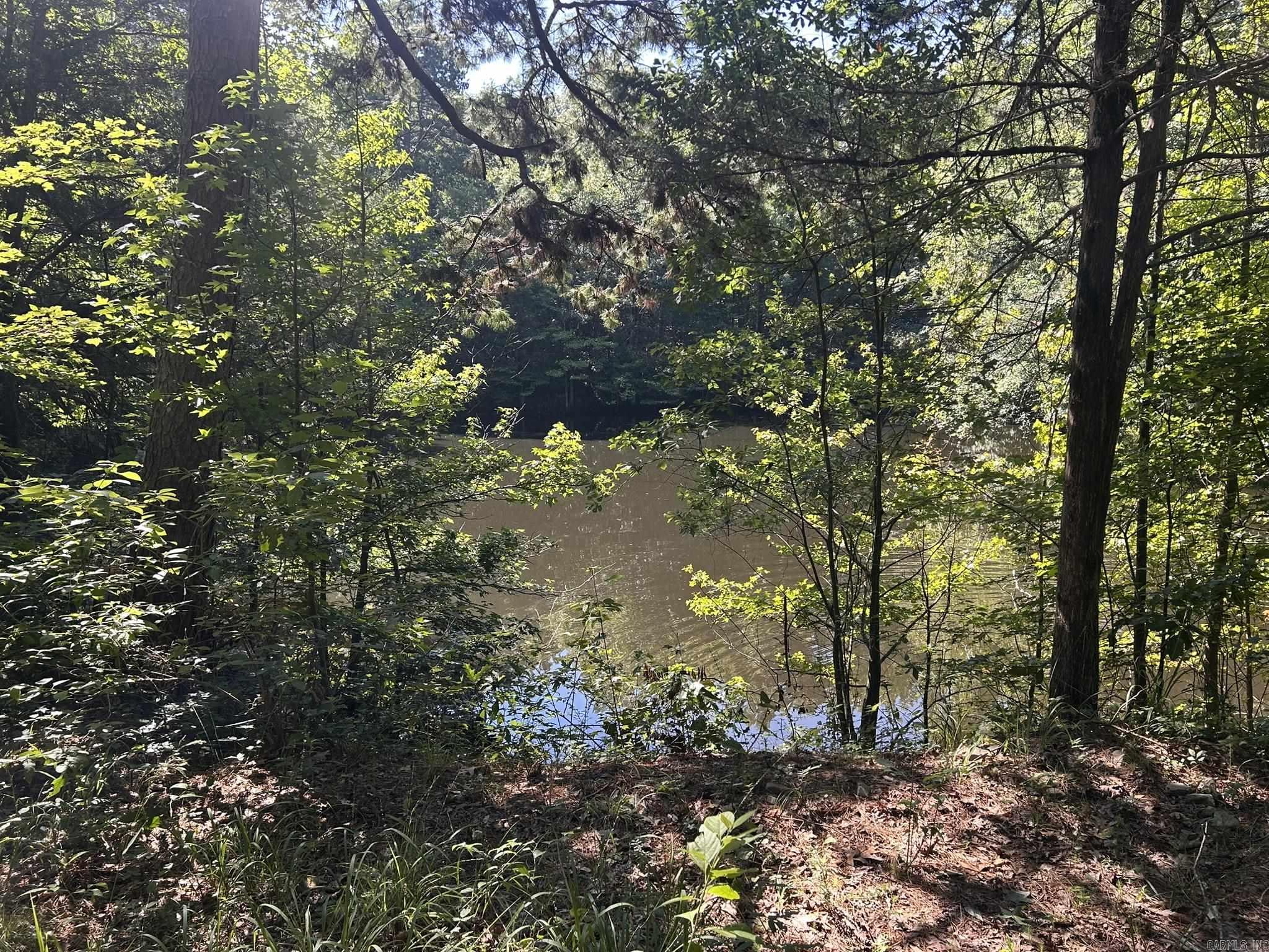 Unk Polk Road 164  Mena, AR