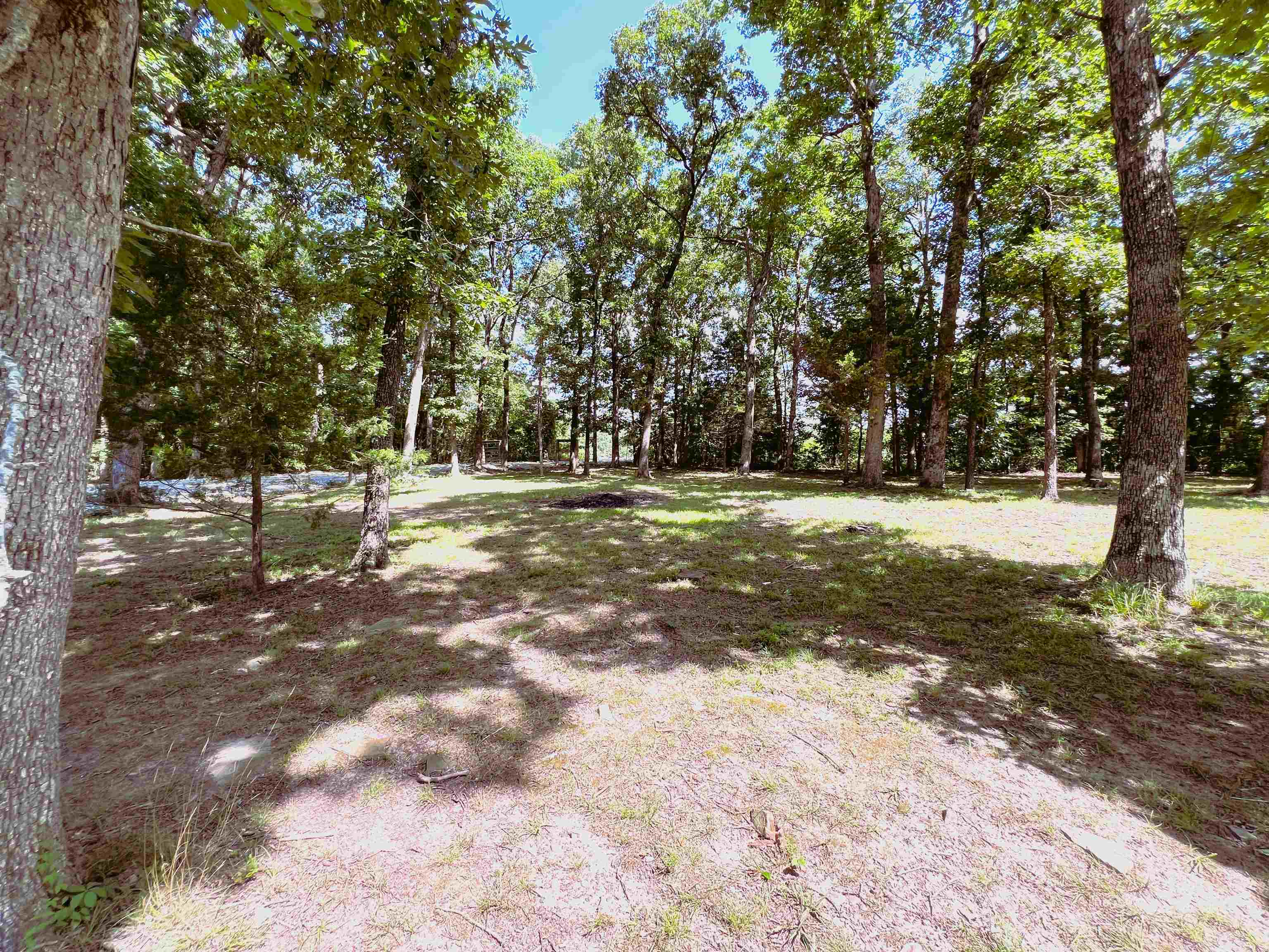 1965 Misenheimer  Mountain View, AR