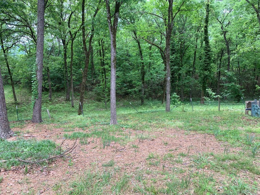 173 Circle  Mount Ida, AR