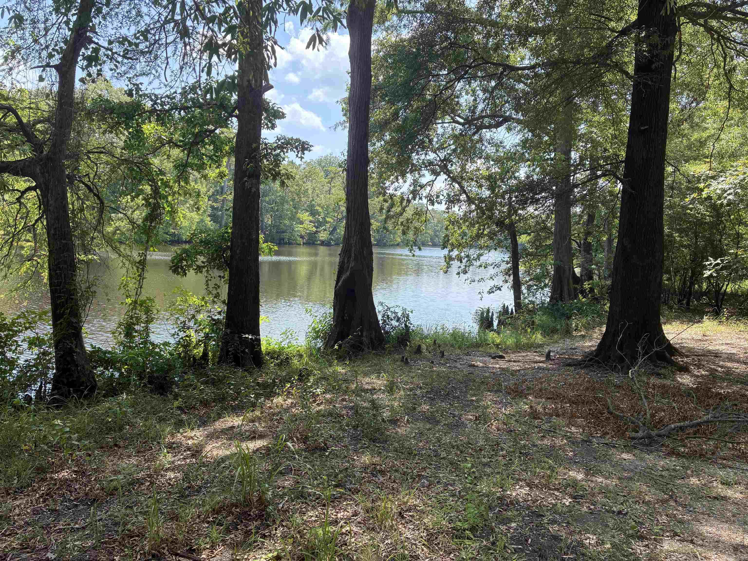  Calhoun 303  Hampton, AR