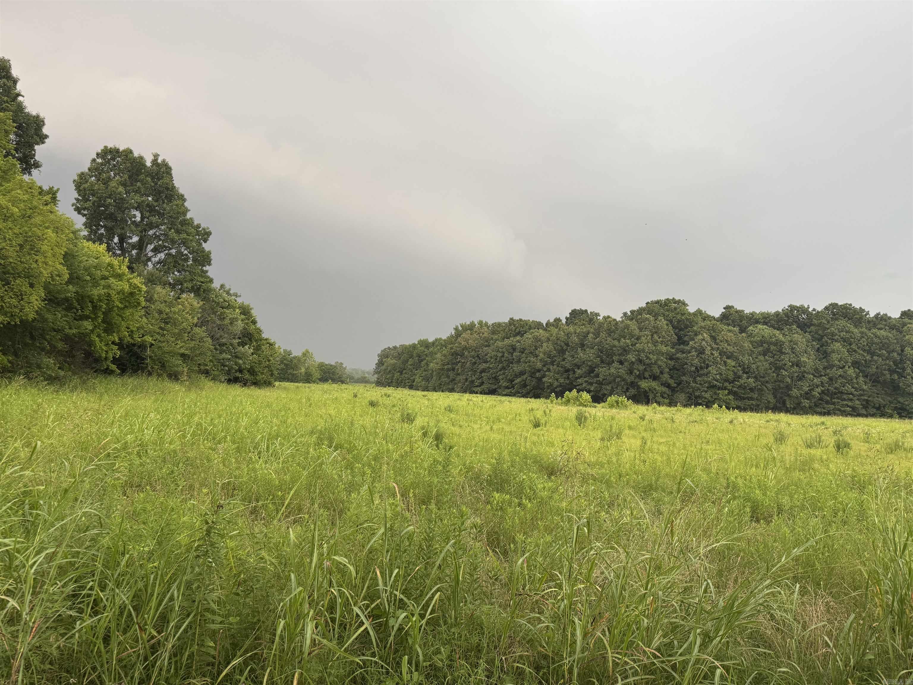 000 County Road 352  Piggott, AR