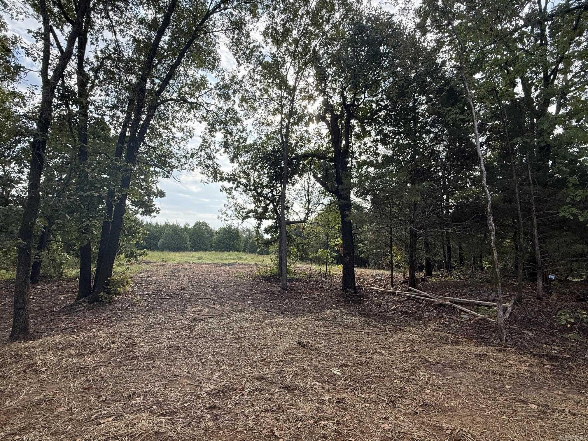 37 Summer Sky Drive  Greenbrier, AR