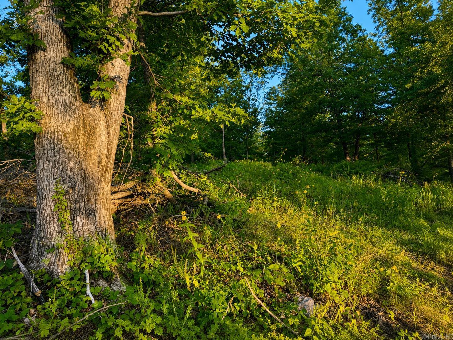 000 Evans Mountain  Clinton, AR