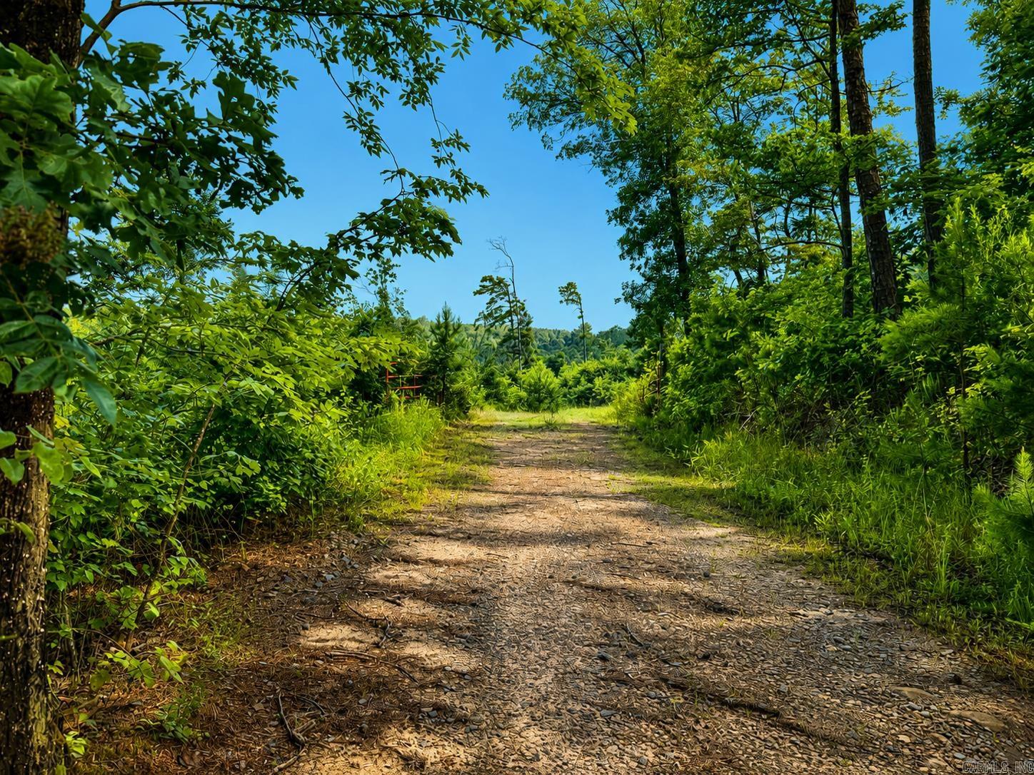 000 Evans Mountain  Clinton, AR