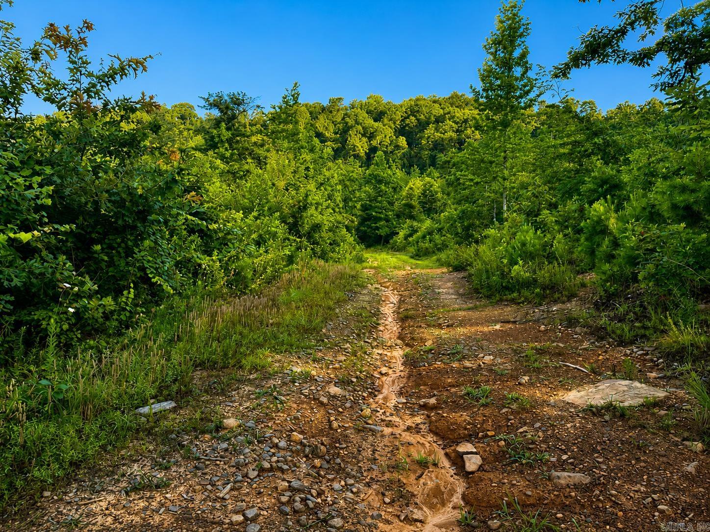 000 Evans Mountain  Clinton, AR