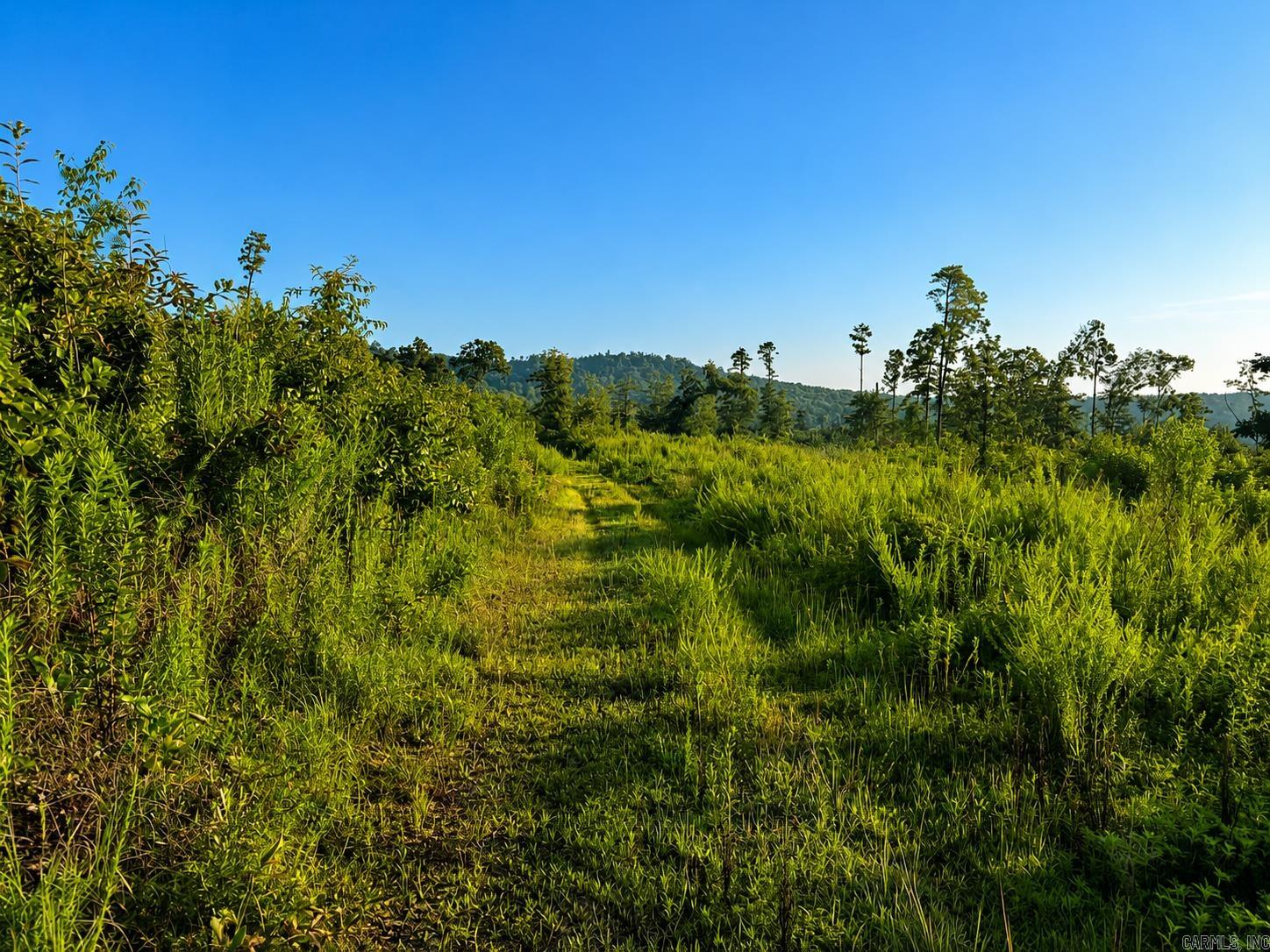 000 Evans Mountain  Clinton, AR