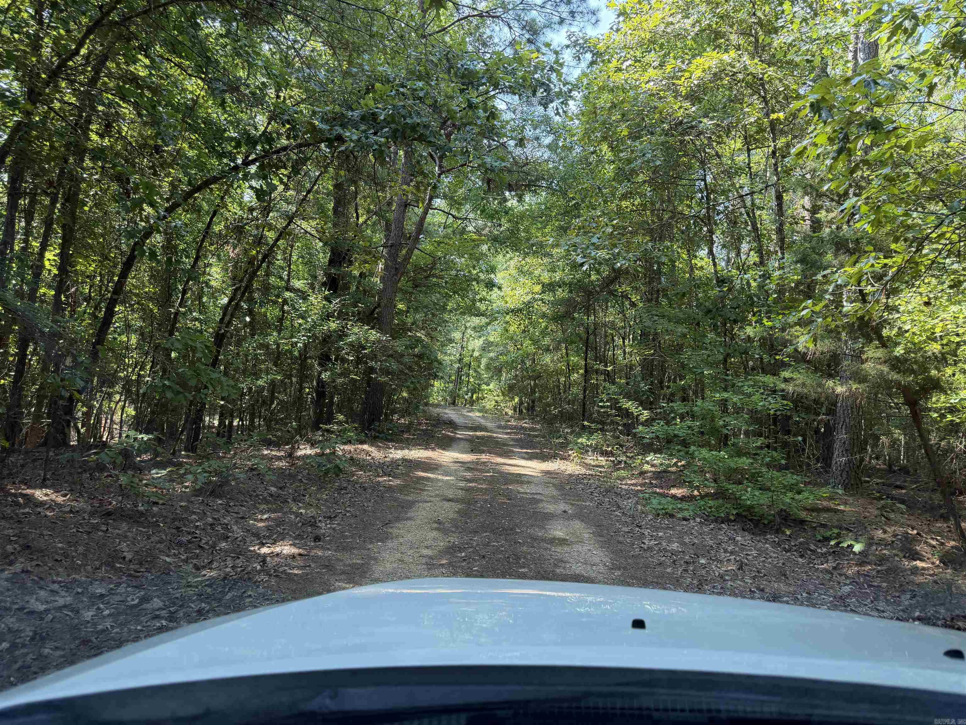 30 +- acres  Camden, AR