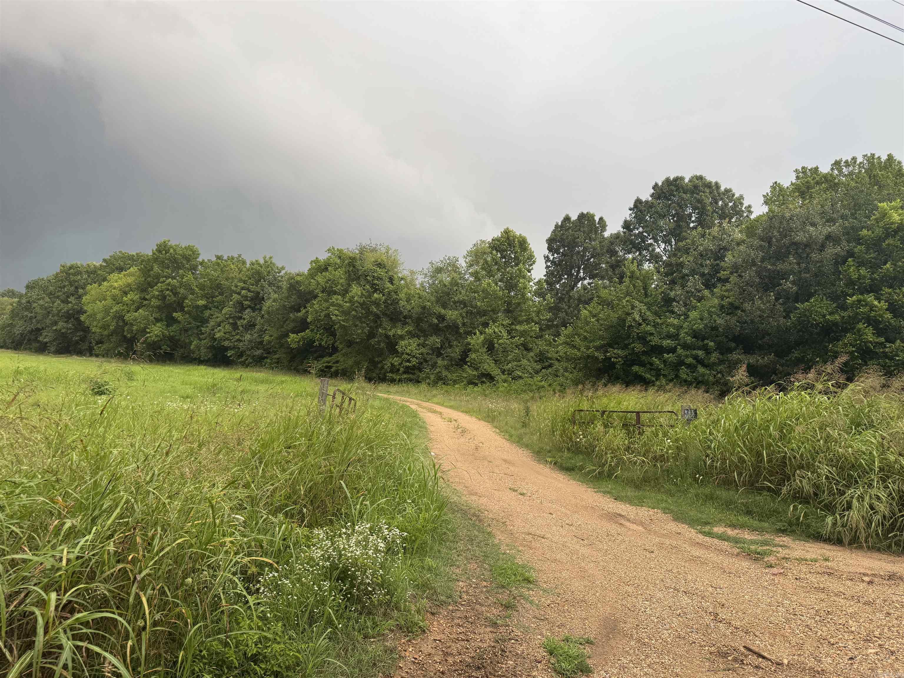 463 County Road 352  Piggott, AR