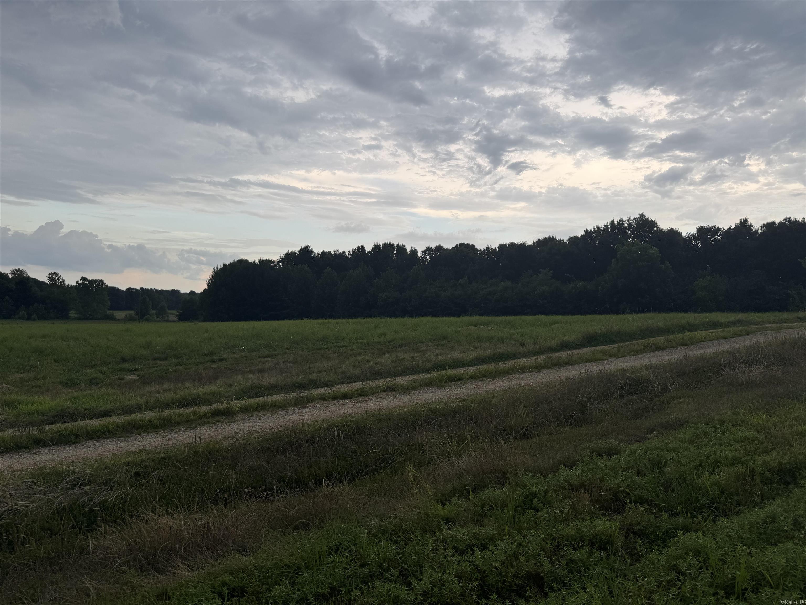 463 County Road 352  Piggott, AR
