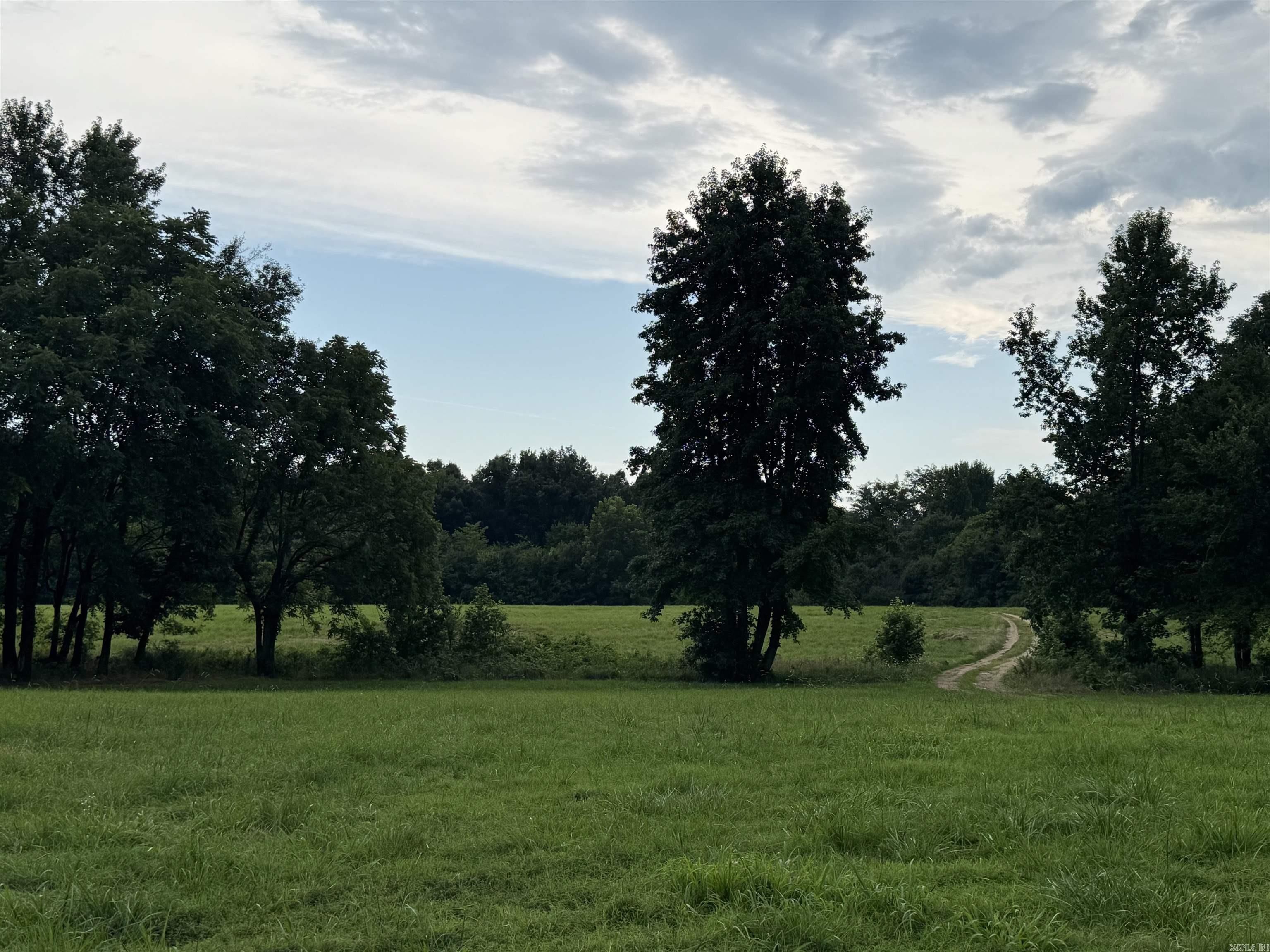 463 County Road 352  Piggott, AR