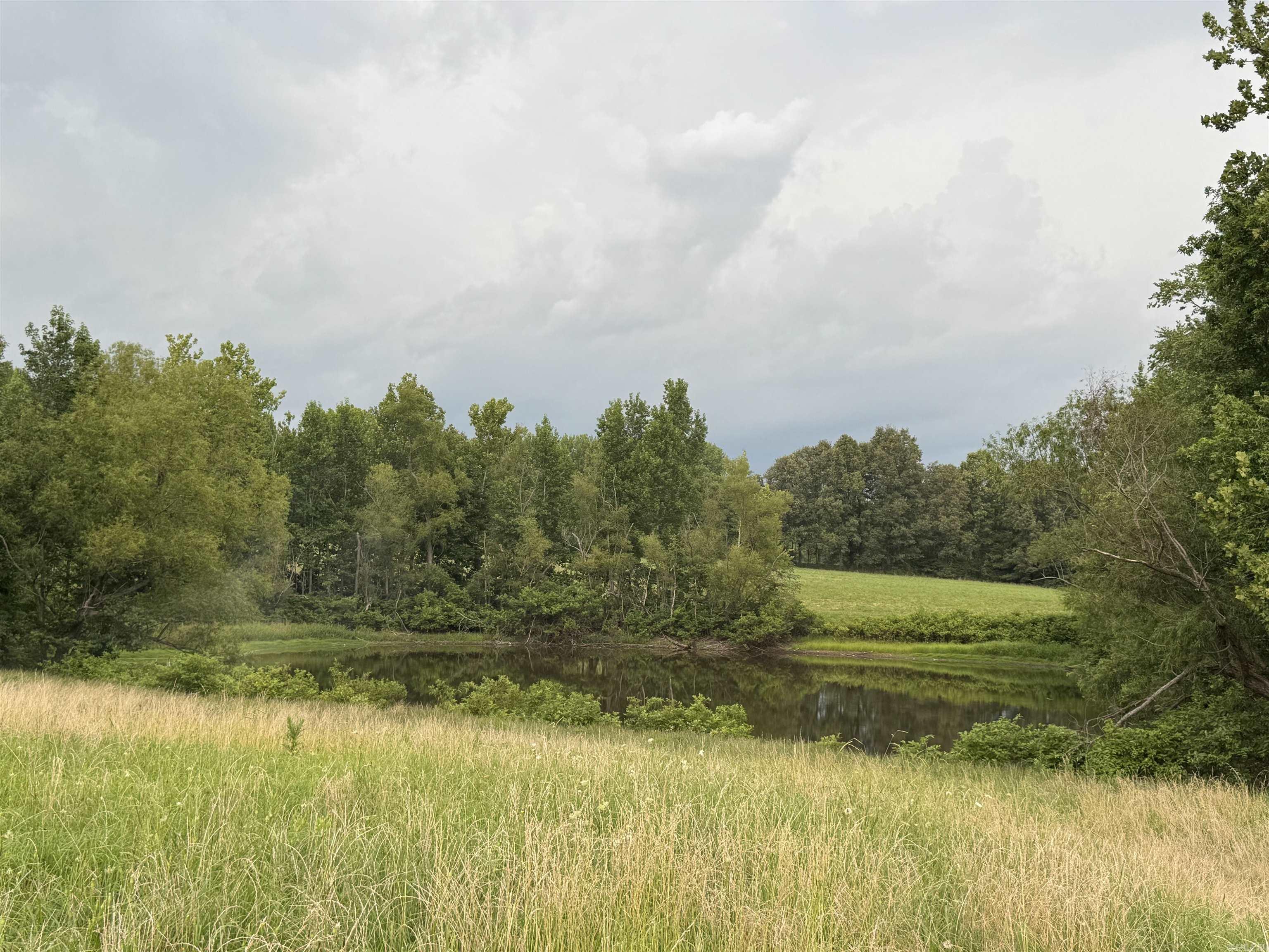 463 County Road 352  Piggott, AR