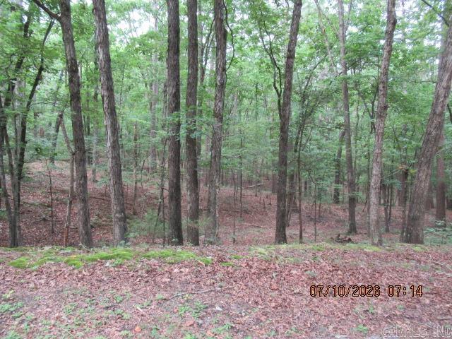 lot 163 blk 10 lake dwellers  Fairfield Bay, AR