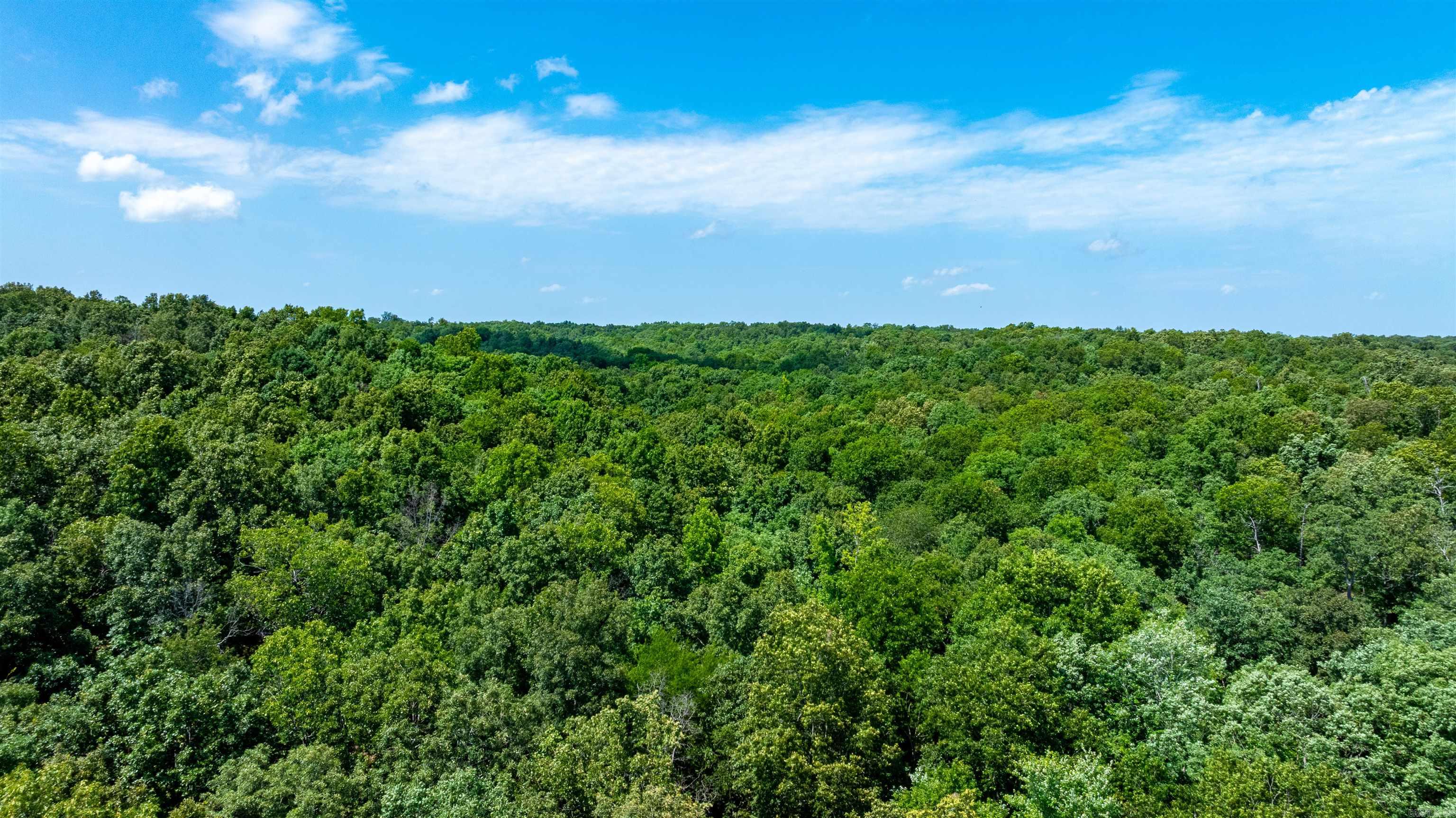 000 Antioch  Cave City, AR