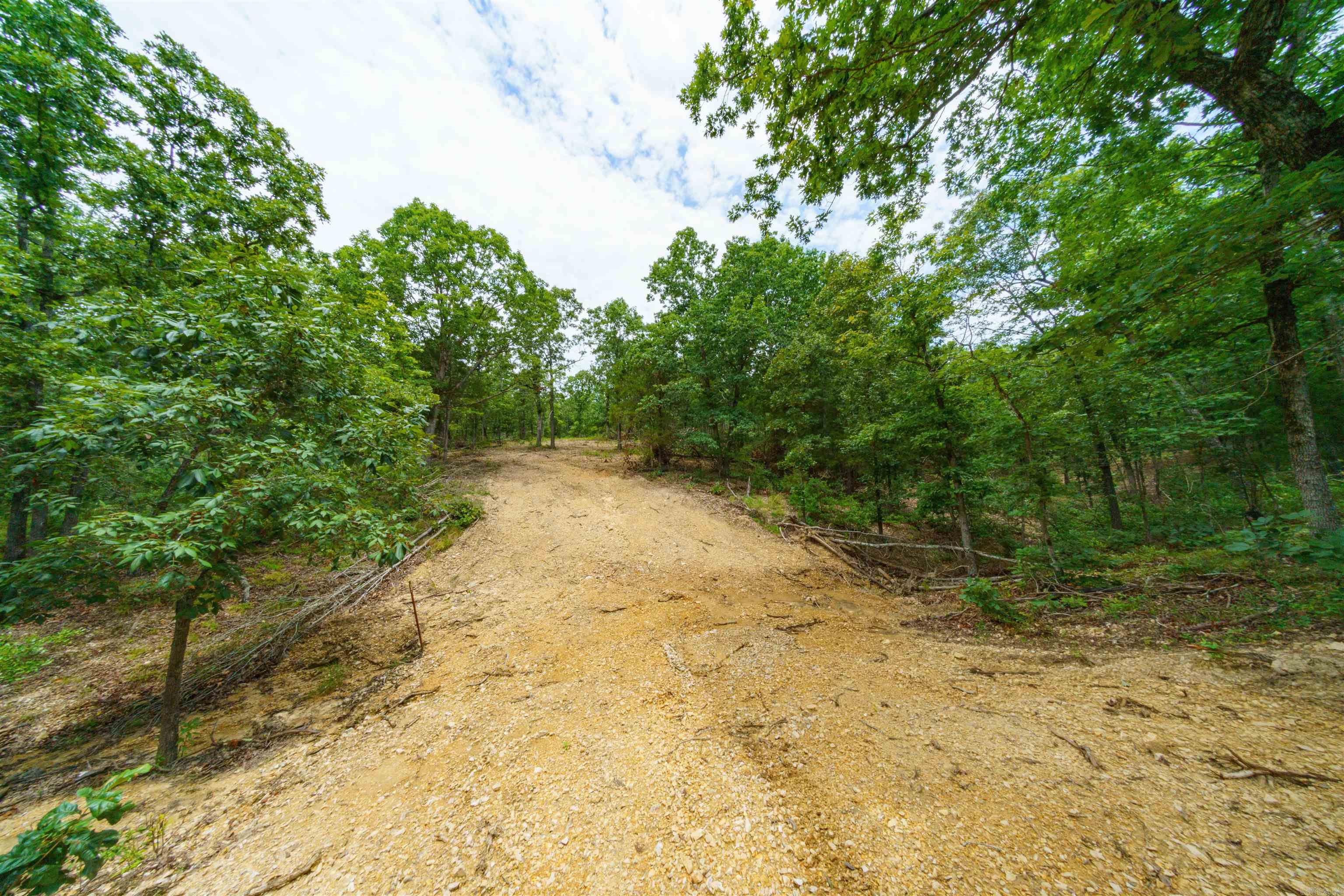 000 Antioch  Cave City, AR