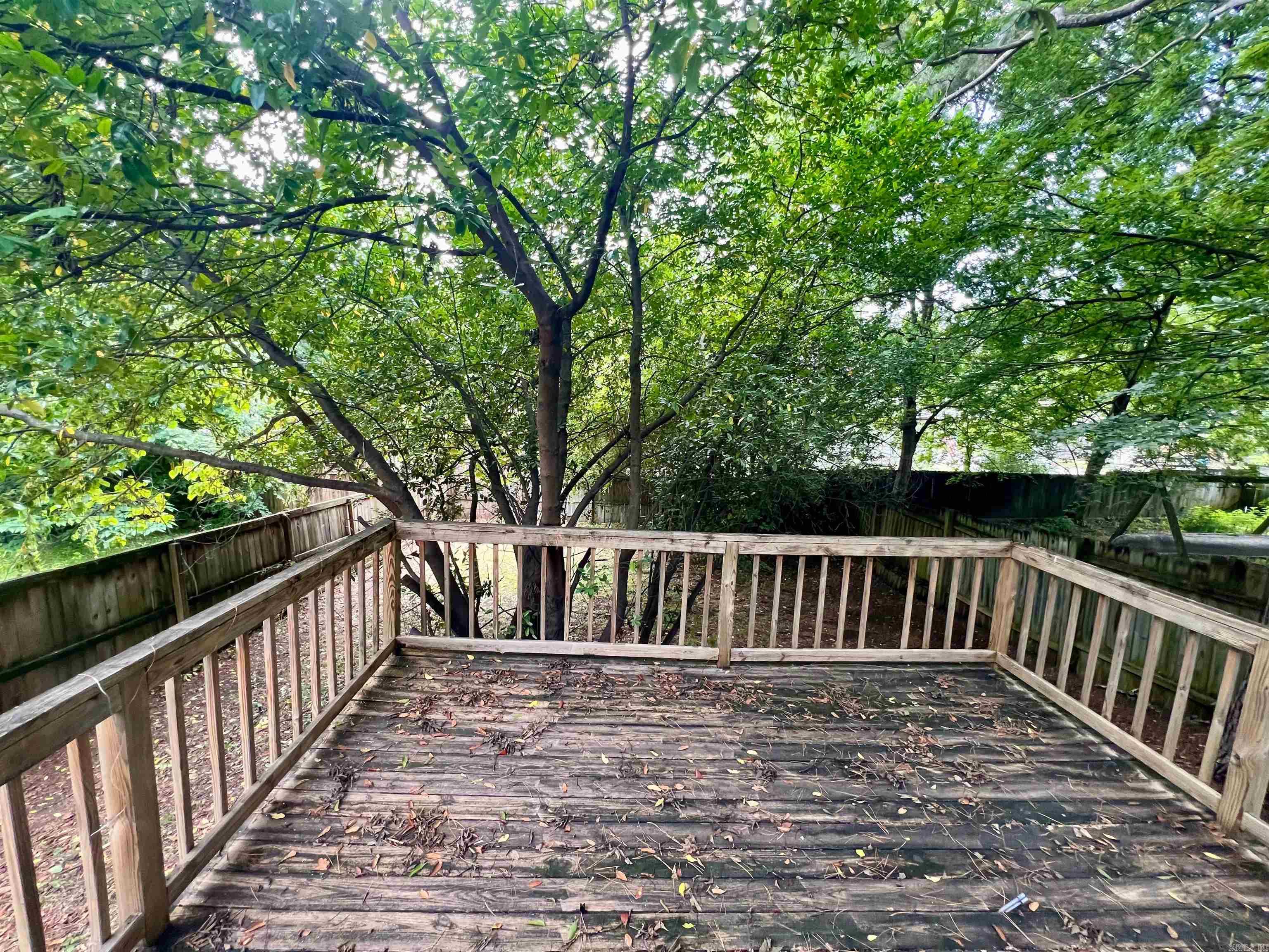 820 N Polk  Little Rock, AR