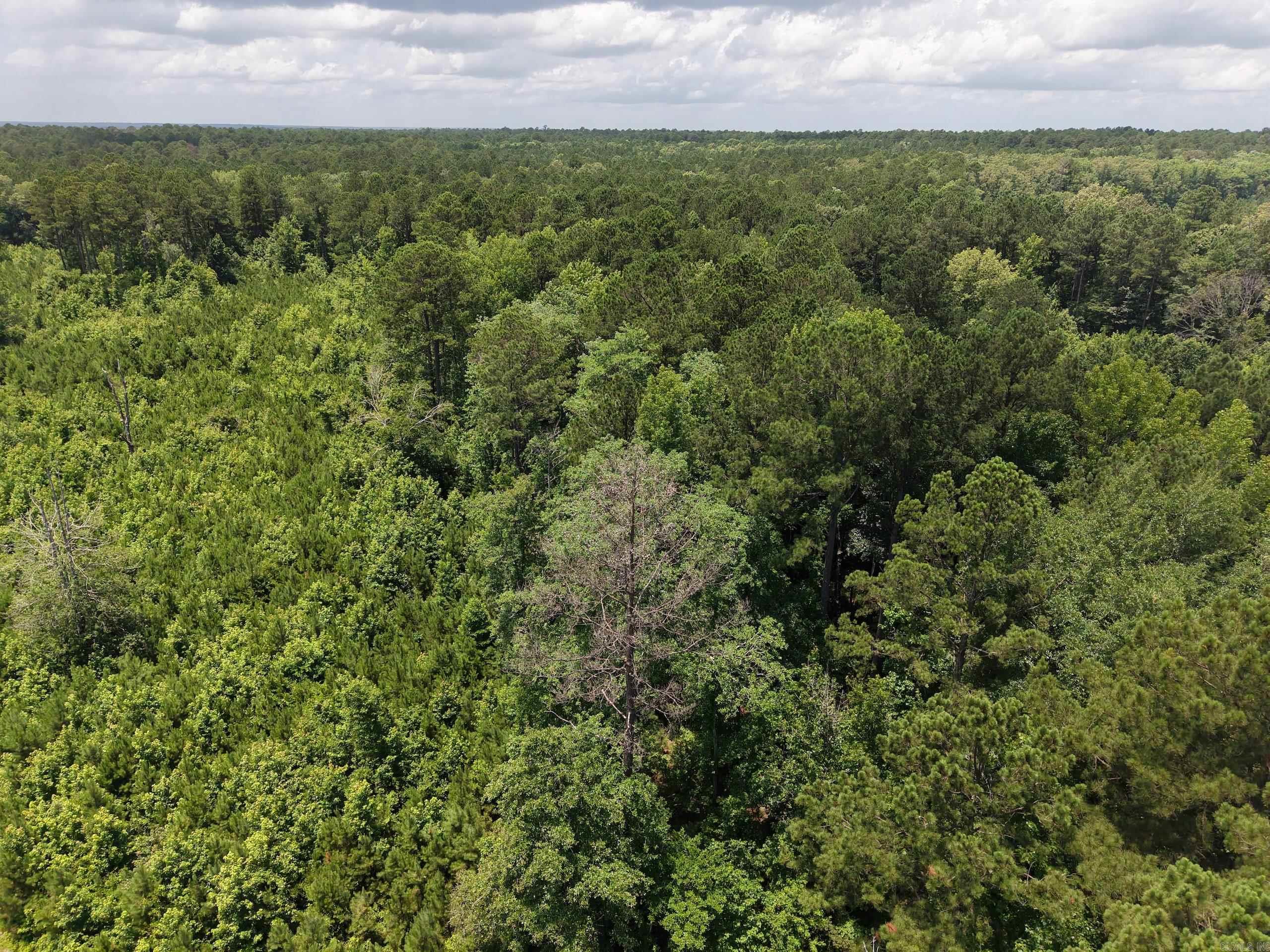 000 Salom Rd  Junction City, AR