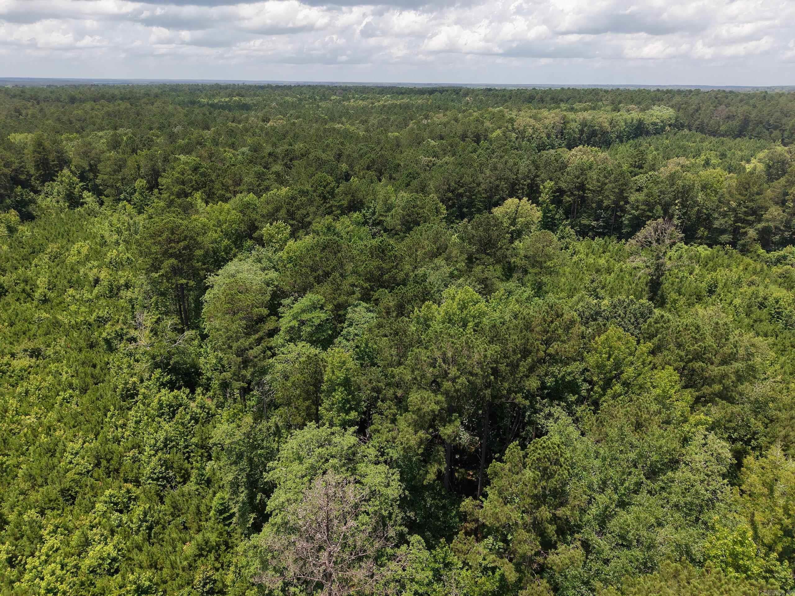 000 Salom Rd  Junction City, AR