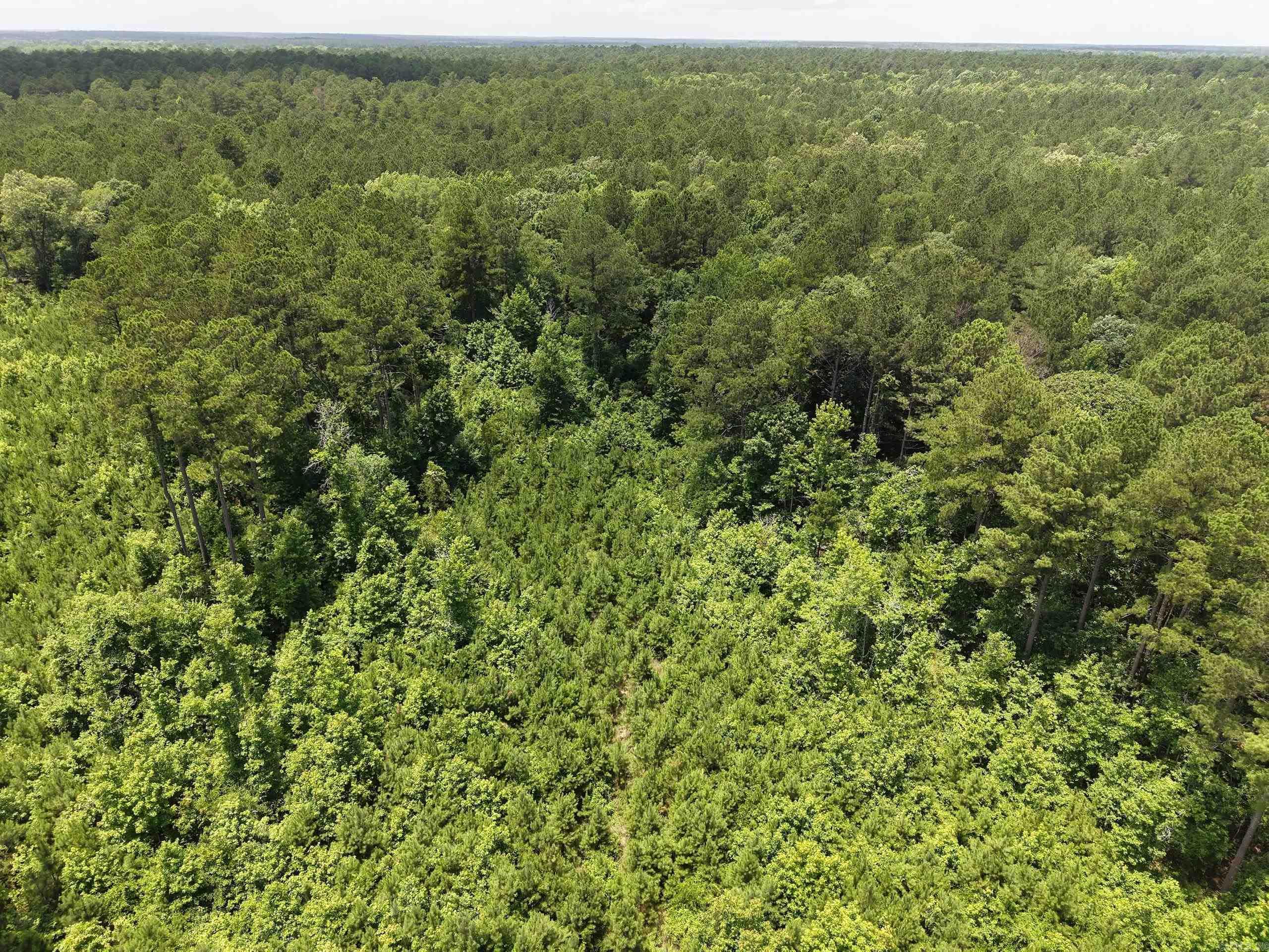 000 Salom Rd  Junction City, AR