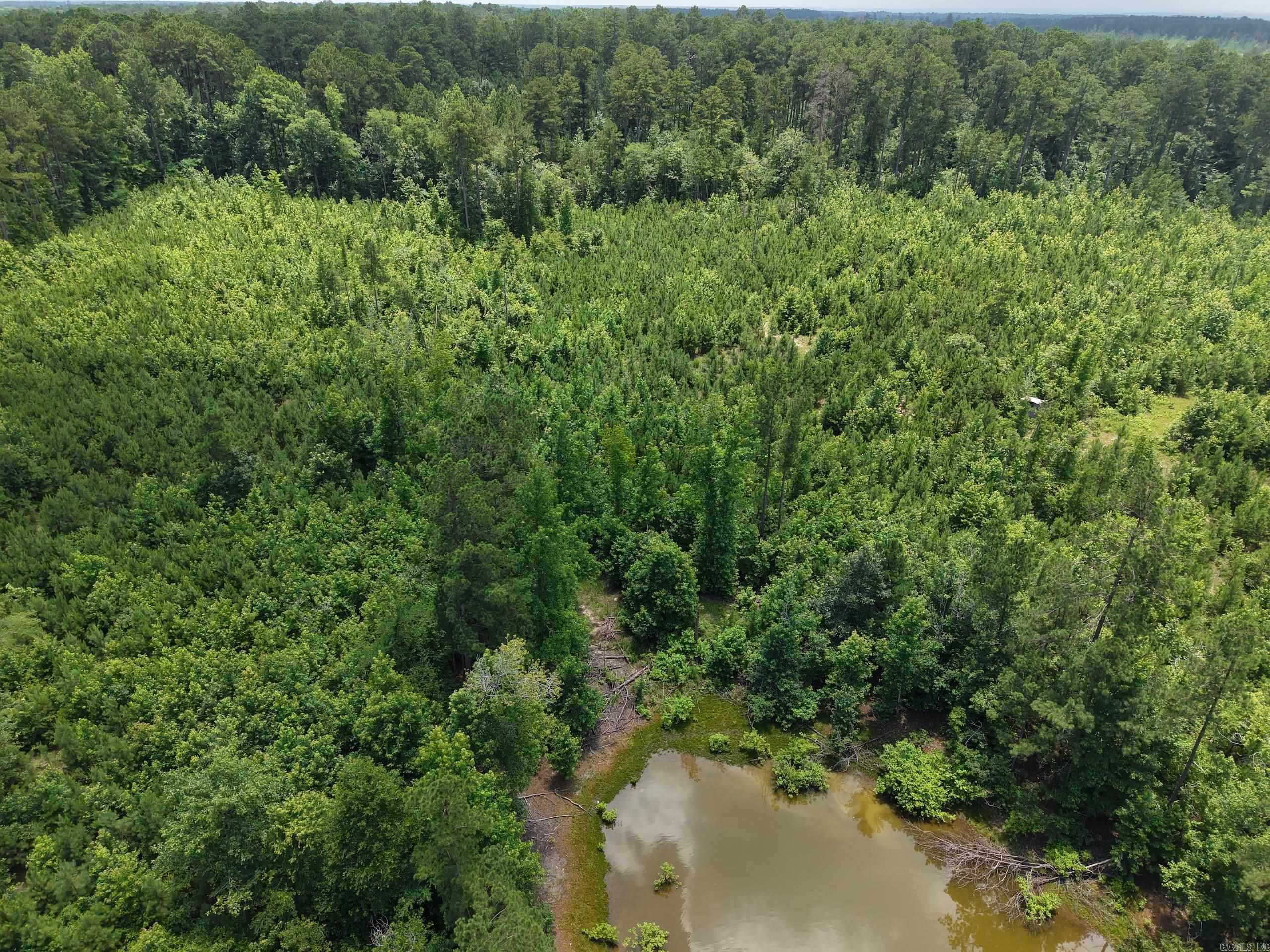 000 Salom Rd  Junction City, AR