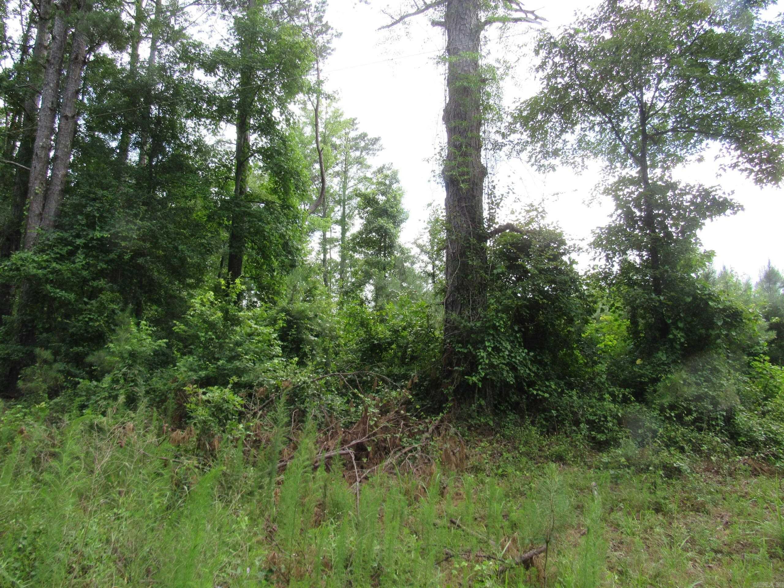 000 Salom Rd  Junction City, AR