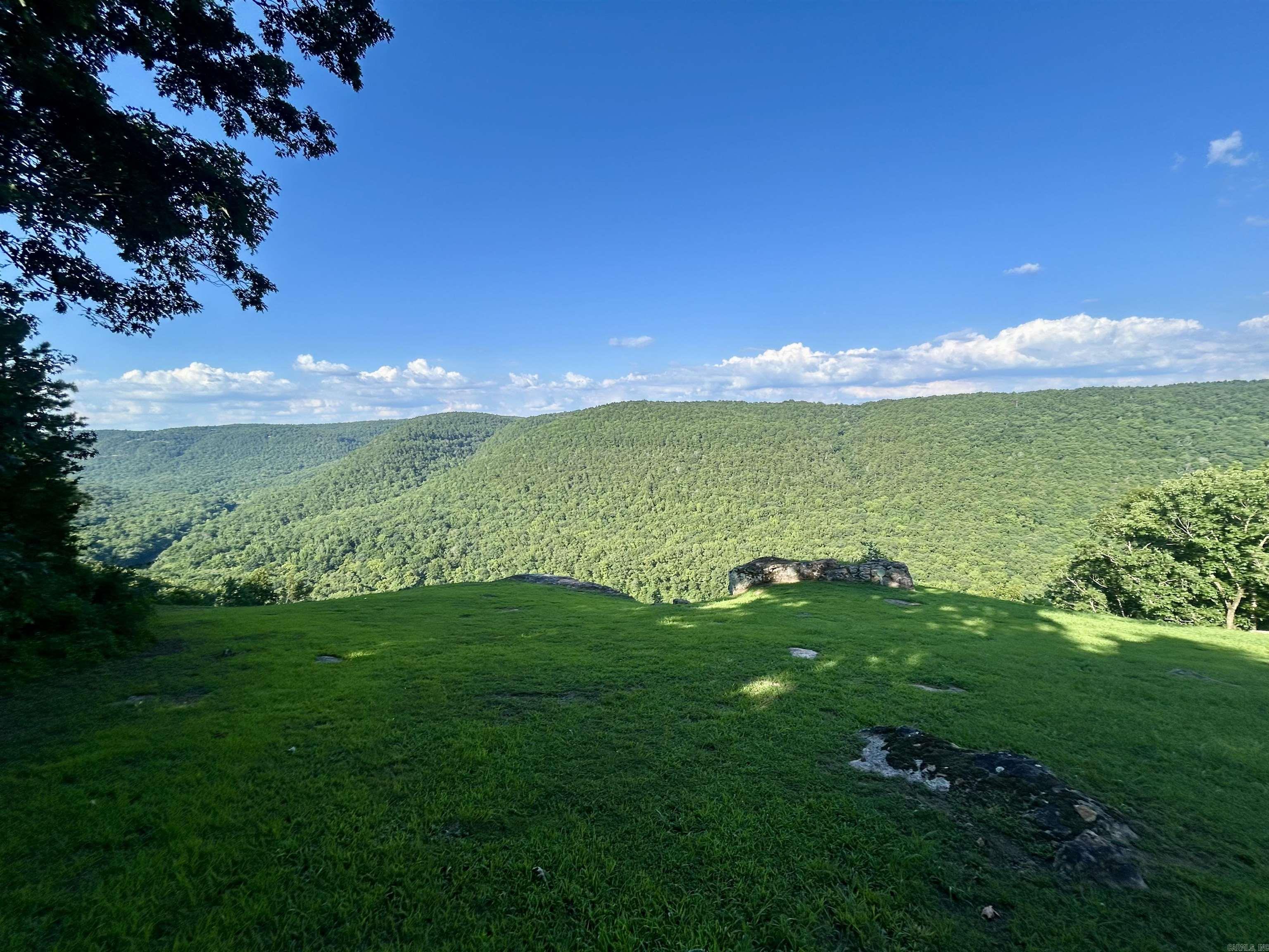 3684 Lute Mountain Road Shirley, AR 72153