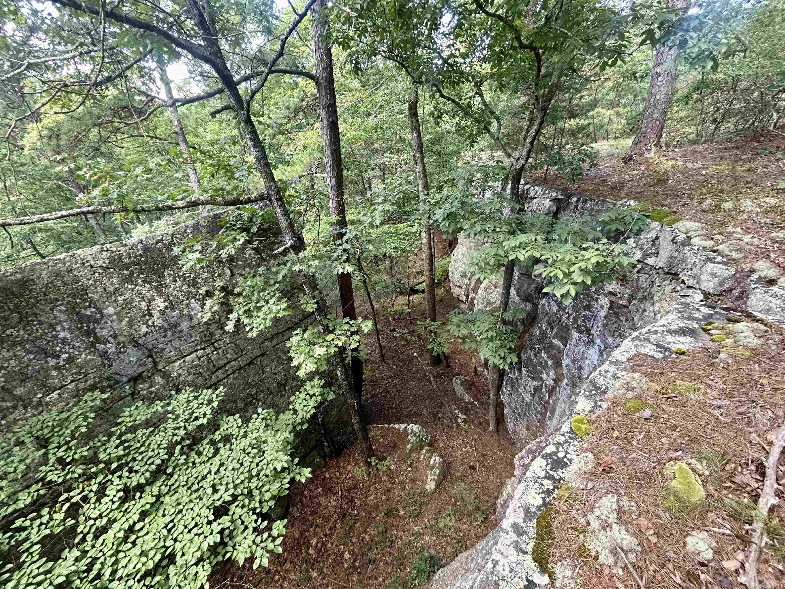3684 Lute Mountain  Shirley, AR