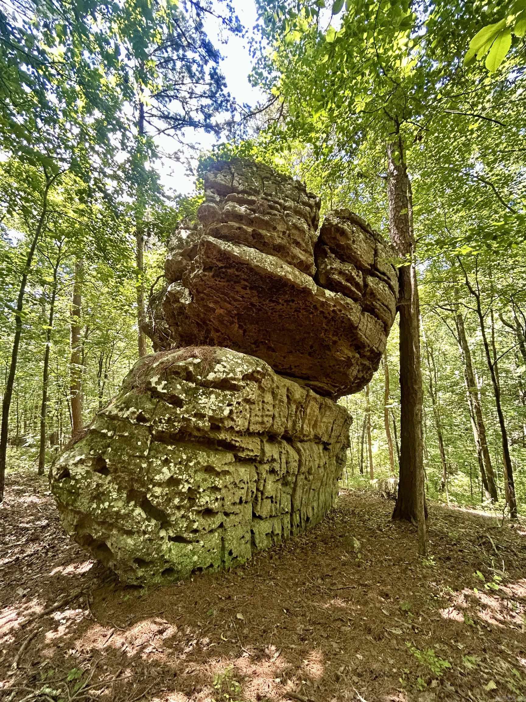 3684 Lute Mountain Road Shirley, AR 72153
