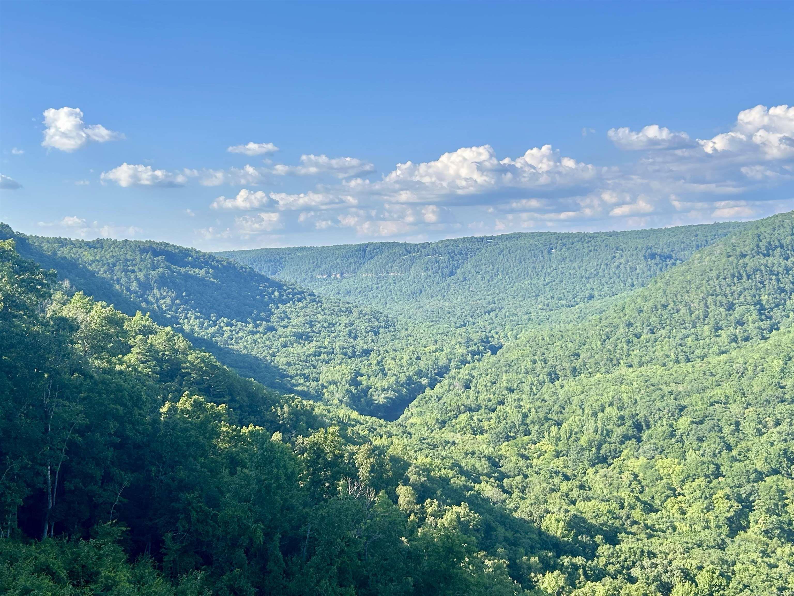 3684 Lute Mountain Road Shirley, AR 72153