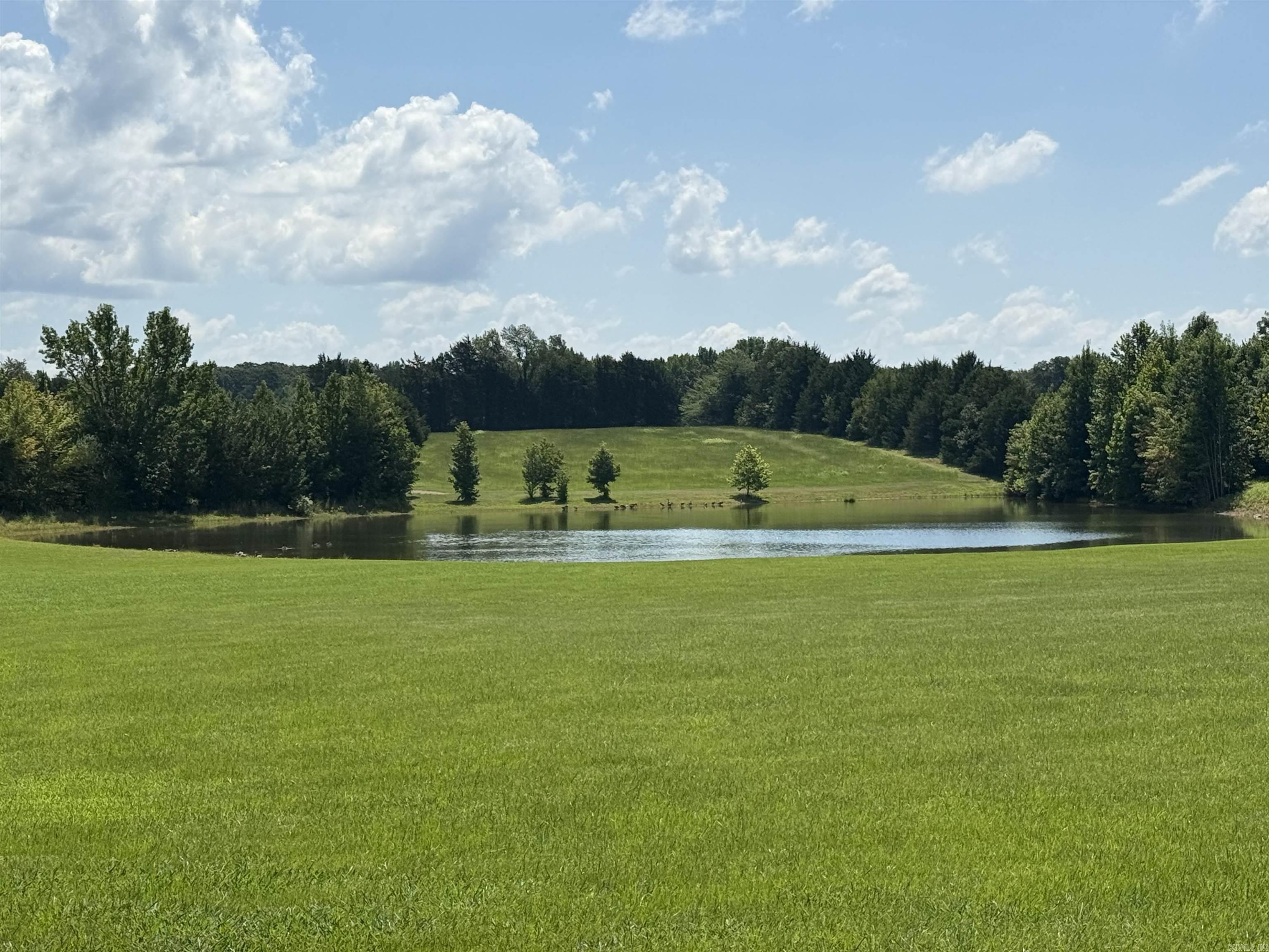 90 Emerald Lane Greers Ferry, AR 72067