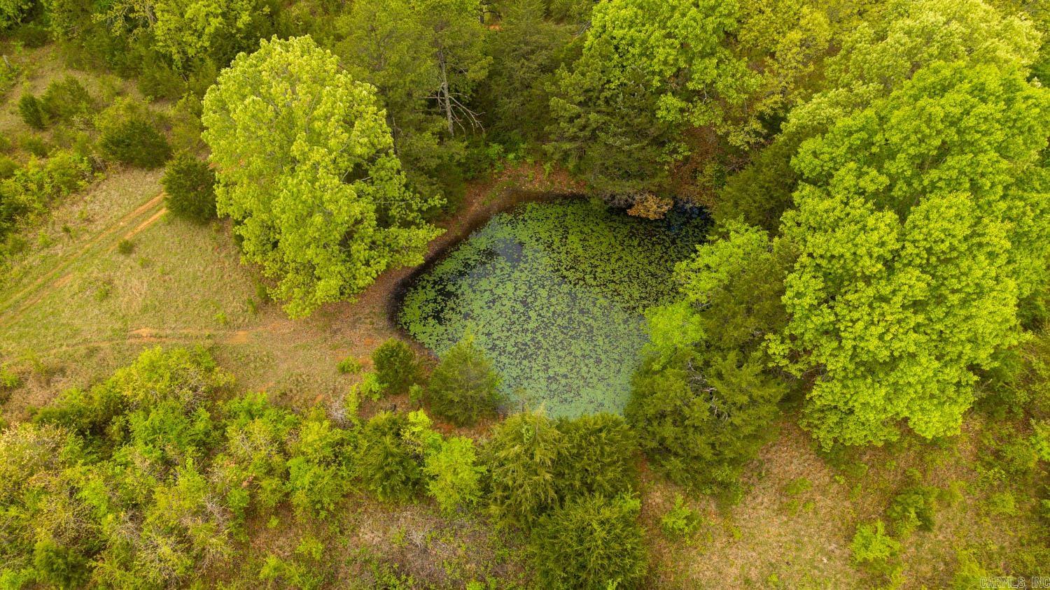 Tract 2 Little Woods  Elizabeth, AR