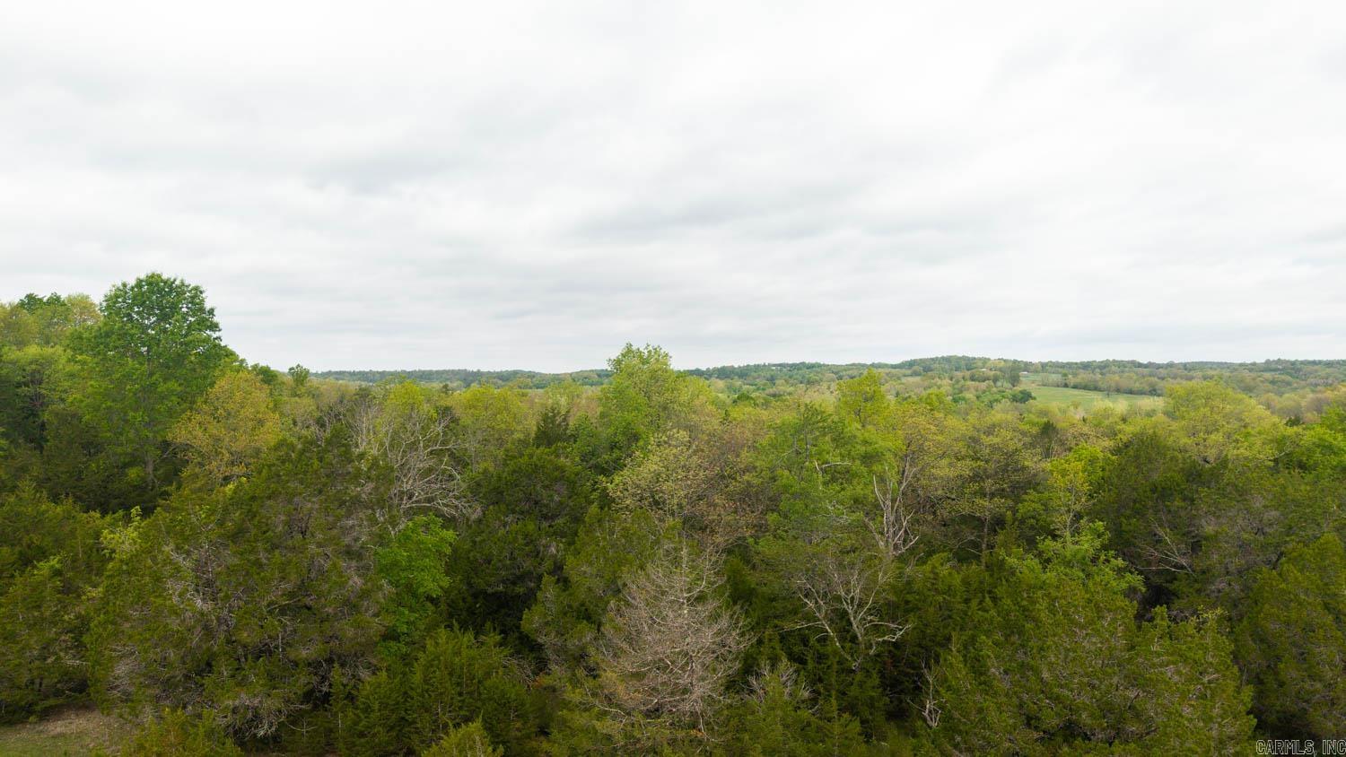 Tract 2 Little Woods  Elizabeth, AR