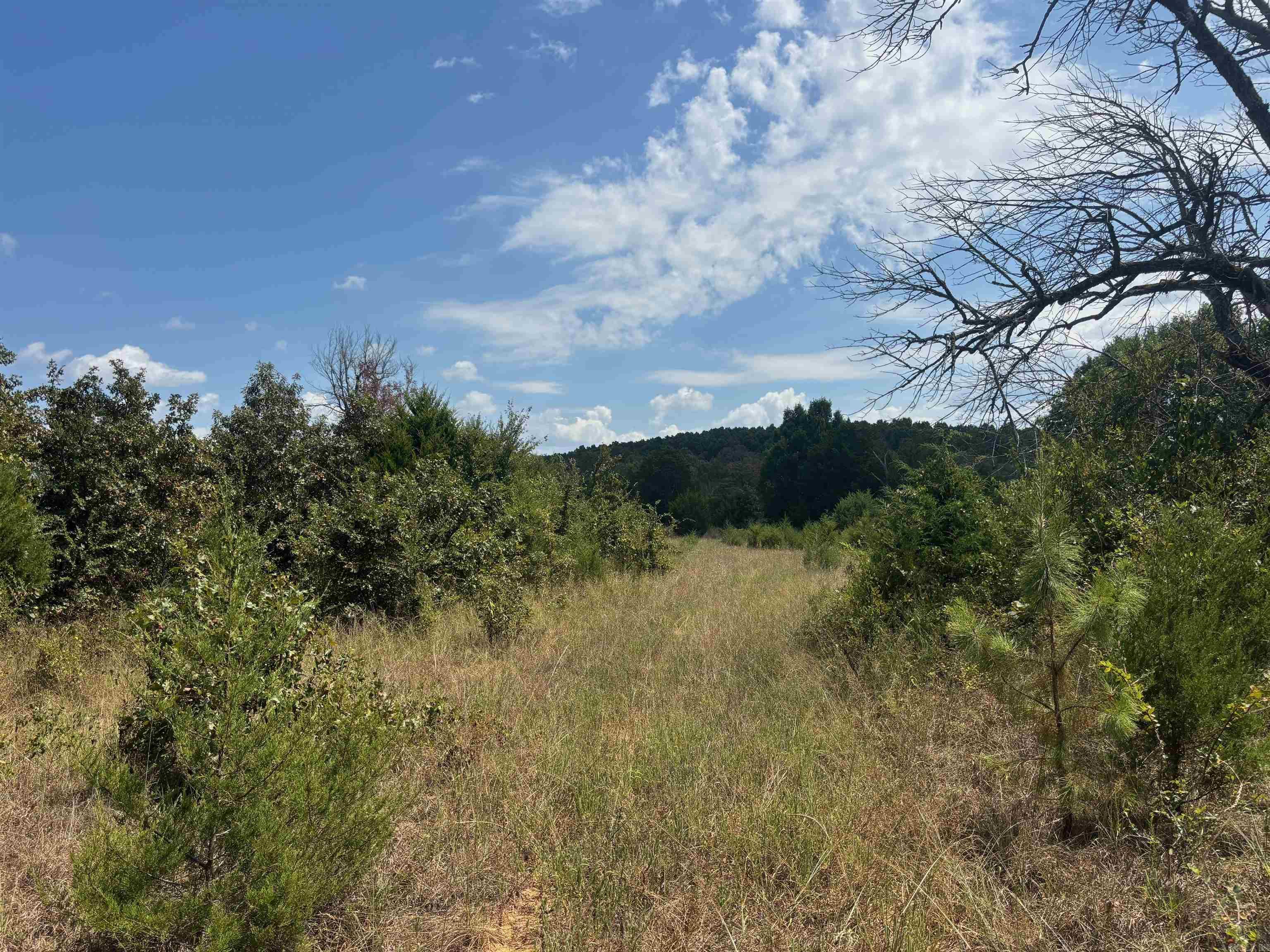 Tract 2 Little Woods  Elizabeth, AR